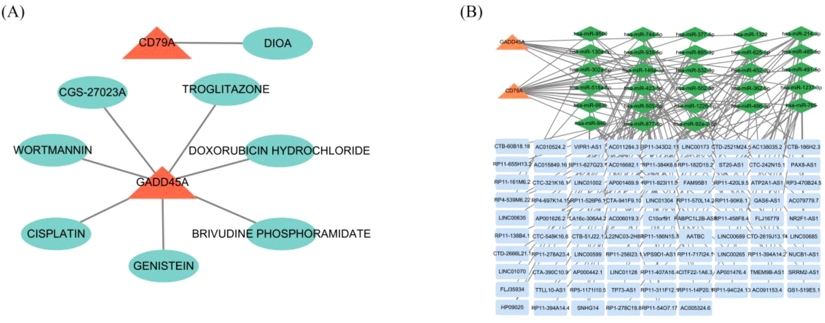 Diagram showing two parts: (A) A network with CD79A and GADD45A as central nodes linked to various compounds like Troglitazone and Doxorubicin Hydrochloride. (B) A complex network connecting GADD45A and CD79A to multiple miRNAs, such as hsa-miR-939-5p, and a series of other elements.