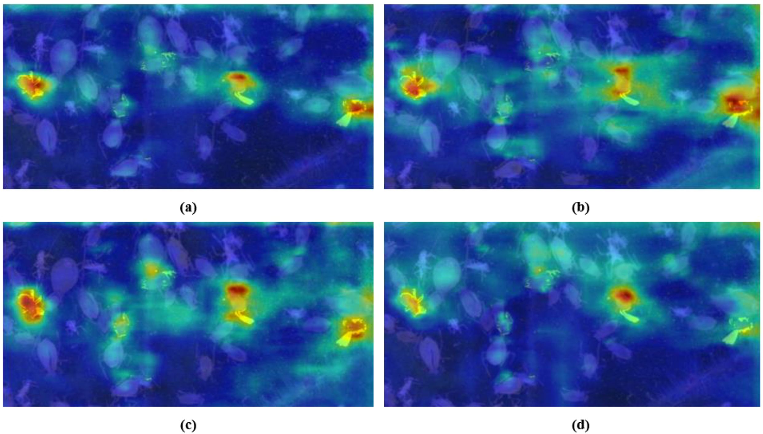 Thermal imagery consisting of four panels labeled a, b, c, and d, showing different heat distributions in shades of blue, green, yellow, and red. Bright red and yellow areas indicate higher temperatures, dispersed among cooler blue and green regions.