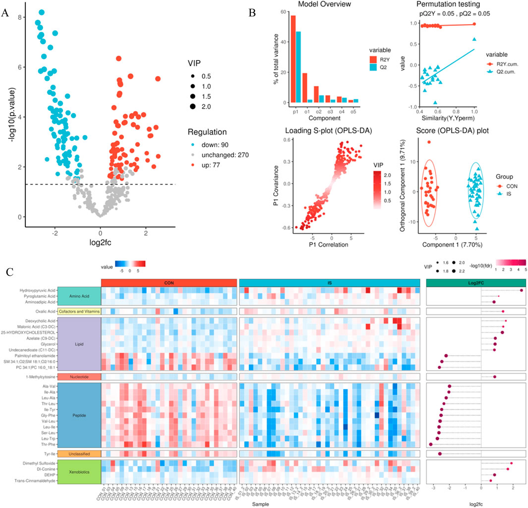 A composite image with three main sections: A) A volcano plot showing -log10(p-value) against log2 fold change with points indicating varying regulation levels, size representing VIP scores. B) Model data including a bar chart for total variance per component, permutation testing plots, a loading S-plot, and a score plot differentiating groups CON and IS. C) A heatmap displaying metabolite values across samples for different categories like amino acids, lipids, and xenobiotics. A legend indicates the value color scale and VIP representation.
