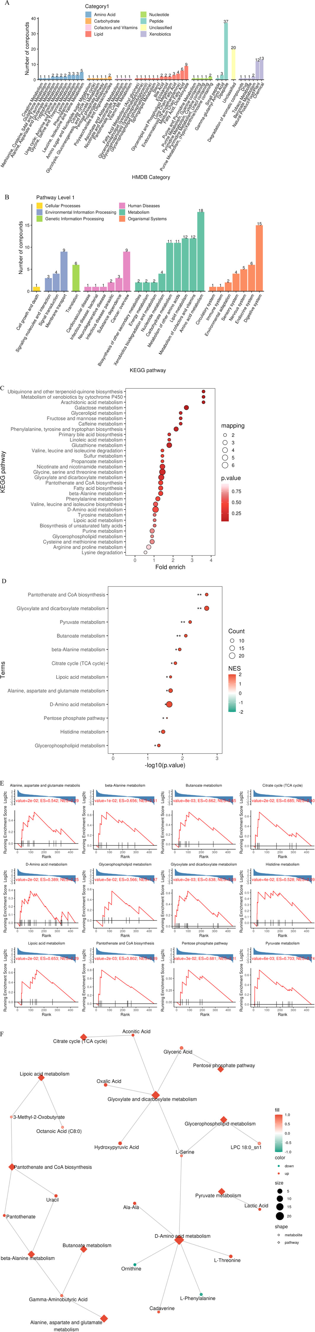 Bar charts A and B display the distribution of compounds. Chart A categorizes compounds by HMDB category into amino acids, carbohydrates, lipids, and more, with xenobiotics having the highest count. Chart B classifies compounds by KEGG pathways such as genetic information processing, metabolism, and more, highlighting metabolism and organismal systems with notable counts. Both charts use distinct colors for each category or pathway. Bubble plots depicting metabolic pathways with enrichment analysis. Panel C shows KEGG pathways against fold enrichment, with bubble size indicating mapping value and color representing p-value significance. Panel D shows metabolic terms against negative log p-value, with bubble size indicating count and color for normalized enrichment score. Twelve graphs show metabolic pathways with enrichment analysis. Each graph displays a running enrichment score across ranked genes, labeled with specific pathways such as