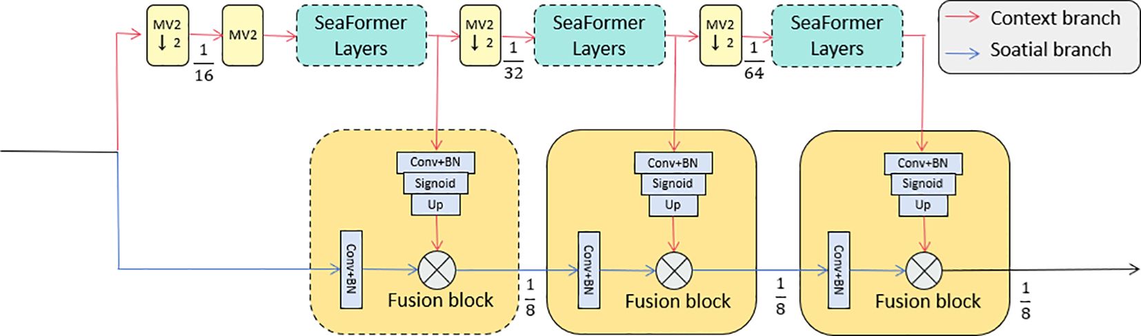 Diagram illustrating a neural network architecture. It shows a flow starting with MV2 layers, followed by SeaFormer layers, and ending with Fusion blocks. Red and blue arrows indicate context and spatial branches, respectively. Components include convolution with batch normalization, sigmoid functions, and upsampling.