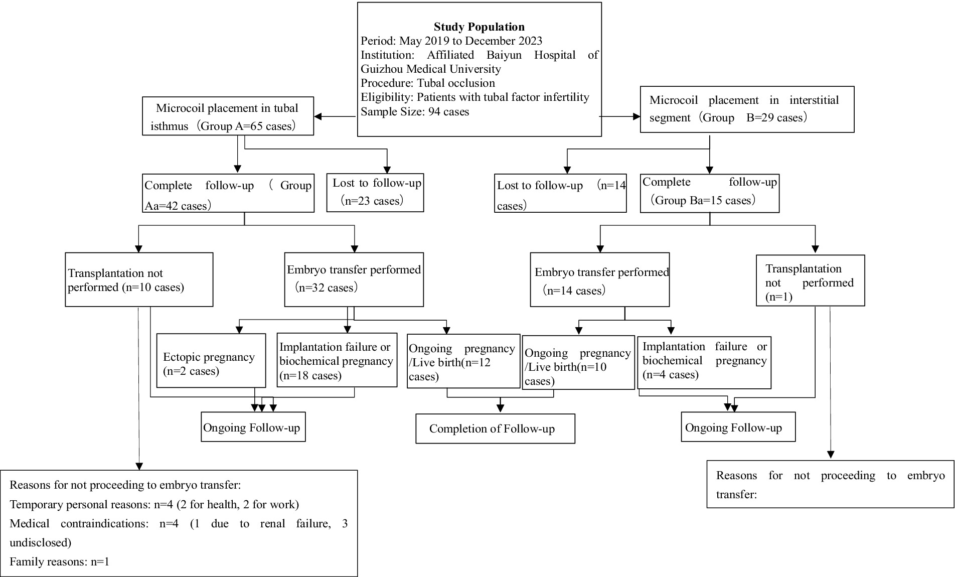 Flowchart showing a study on tubal occlusion for patients with tubal factor infertility. Group A (65 cases) had microcoil placement in tubal isthmus, leading to complete follow-up (42 cases) or loss (23 cases). Of those with complete follow-up, 10 cases did not proceed with embryo transfer due to various reasons. Thirty-two had embryo transfers: 18 had implantation failure, 12 had ongoing pregnancies/live births, 2 had ectopic pregnancies. Group B (29 cases) had microcoil placement in the interstitial segment, with 15 completing follow-up. Fourteen cases had embryo transfer: 4 with implantation failure, 10 had live births.