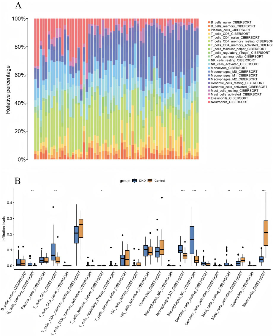 Panel A shows a stacked bar chart representing the relative percentage of various cell types, each color-coded. Panel B displays a box plot comparing infiltration levels of these cell types between DKD and control groups. Each cell type is labeled along the x-axis, while the y-axis indicates levels. Significant differences between groups are marked with asterisks.