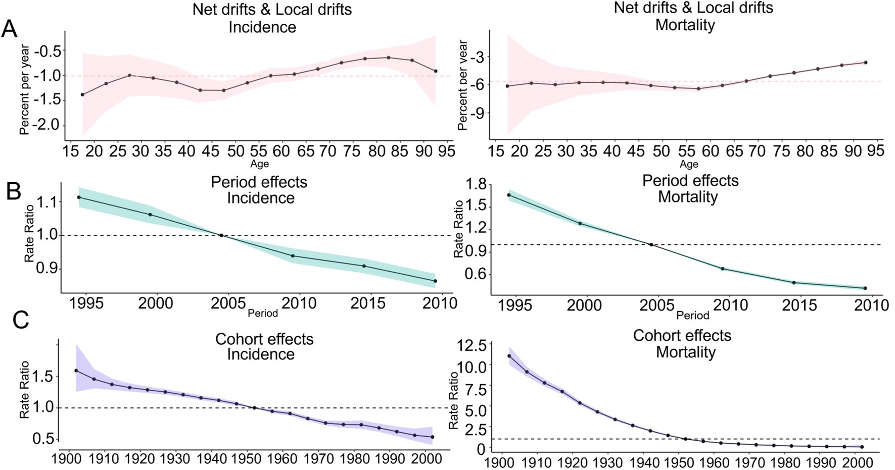 Four graphs show trends in health metrics. Panel A: Incidence and mortality net drifts by age, both declining, with shaded confidence intervals. Panel B: Period effects for incidence and mortality from 1995 to 2015, both showing decreasing rate ratios. Panel C: Cohort effects for incidence and mortality from 1900 to 2000, illustrating a downward trend in rate ratios.