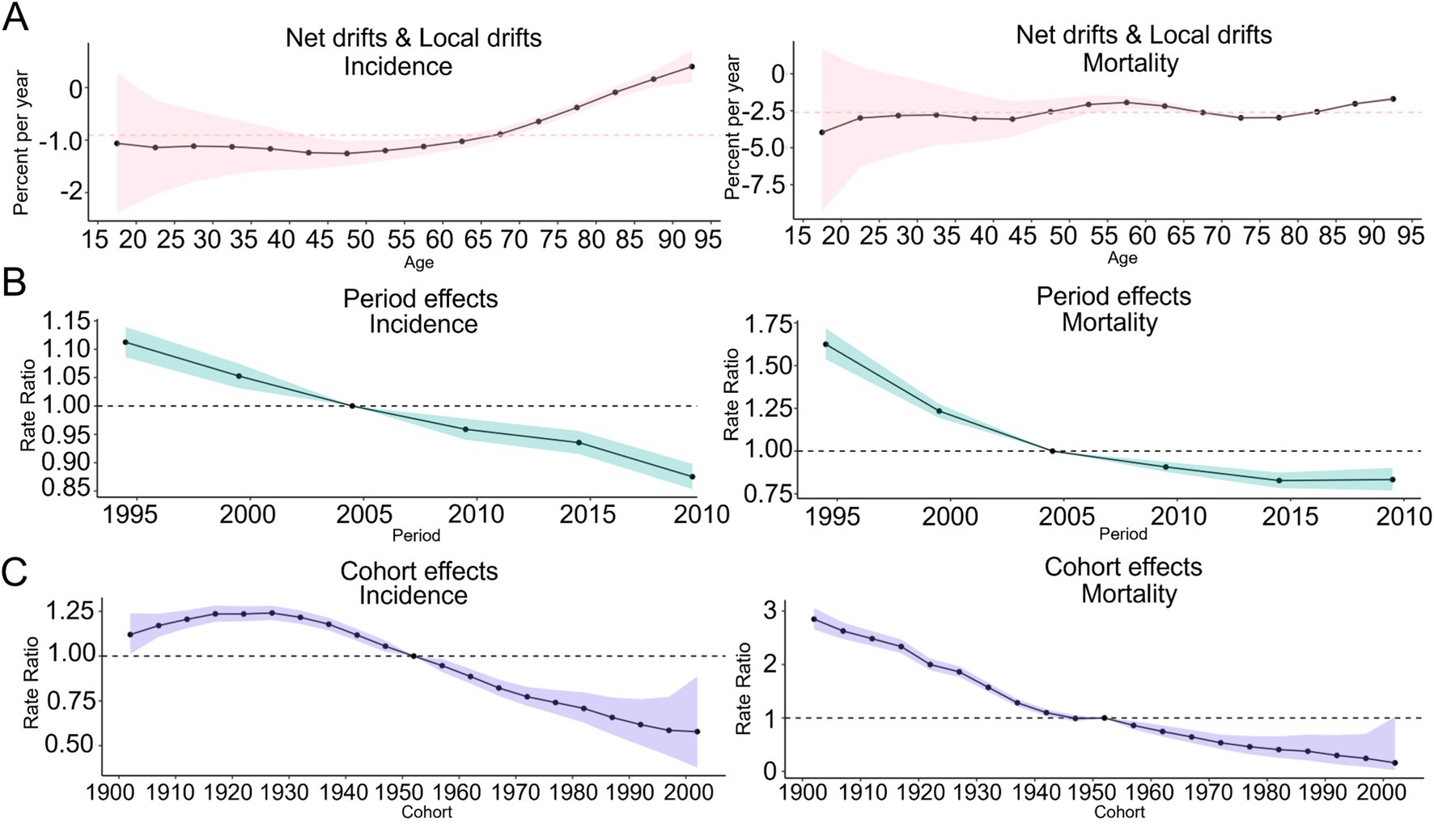 Grouped line graphs showing age-period-cohort effects. Panel A depicts net and local drifts for incidence and mortality by age with trends increasing slightly in older ages. Panel B shows period effects for incidence and mortality from 1995 to 2010, indicating a downward trend. Panel C illustrates cohort effects for incidence and mortality from 1900 to 2000, showing a generally decreasing pattern. Shaded areas indicate confidence intervals.