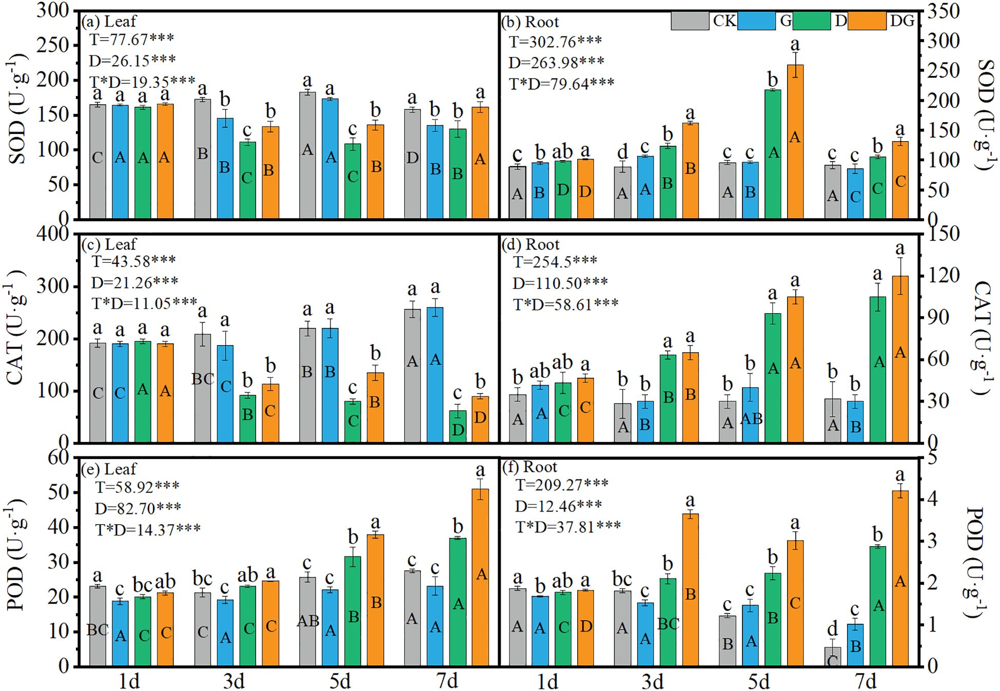 Bar charts display enzyme activity levels (SOD, CAT, POD) in leaves and roots. Four treatments (CK, G, D, DG) are assessed over 1, 3, 5, 7 days. Significant differences marked with letters. Statistical values (T, D, T*D) are shown for each enzyme and tissue type.