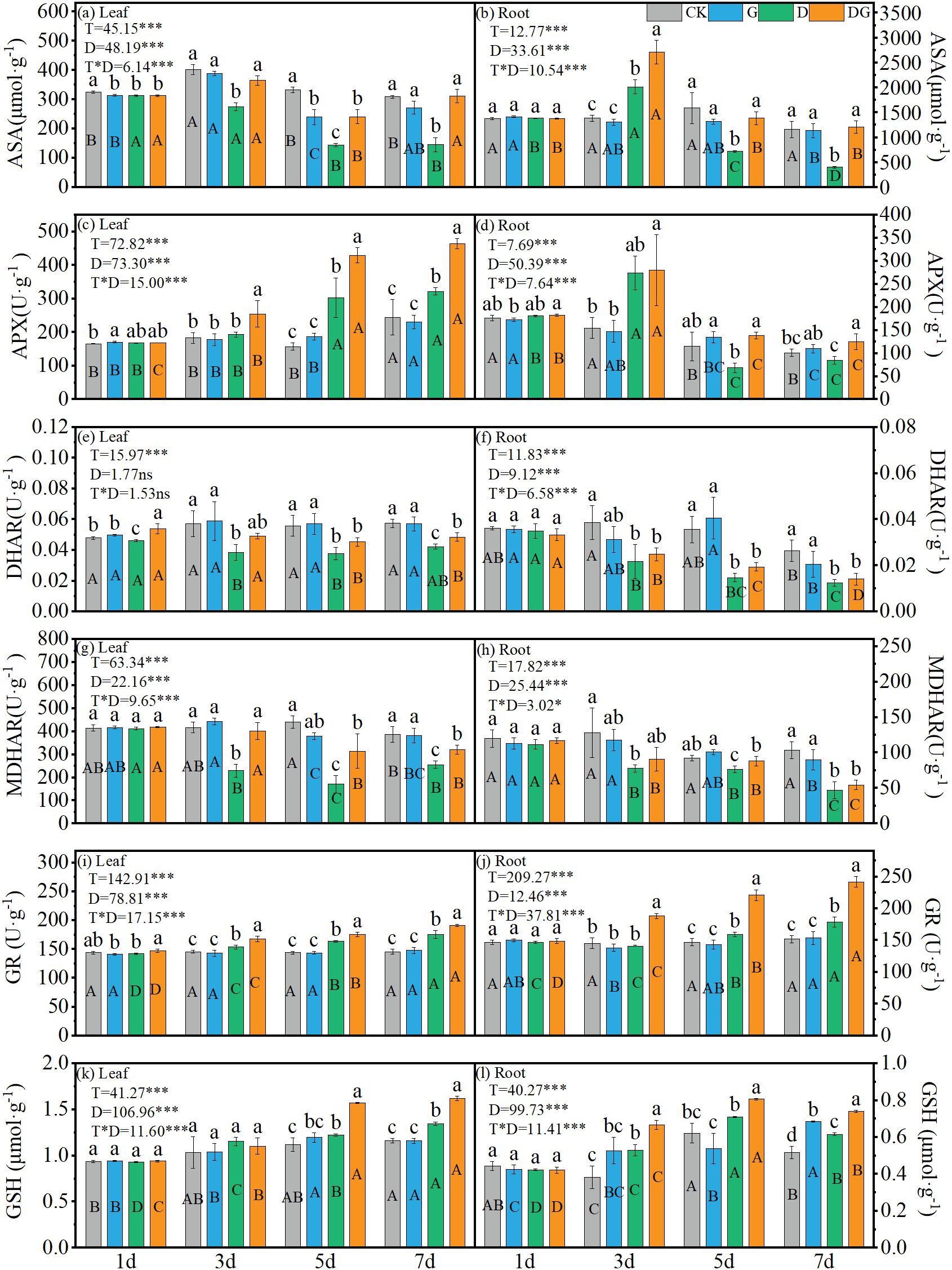 Bar charts display antioxidant enzyme activities in leaves and roots across seven panels: ASA, APXU, DHAR, MDHARU, GR, and GSH, with measurements at different time intervals (1d, 3d, 5d, 7d). Each panel shows four different treatments: CK, G, D, and DG. Statistical significance is indicated through letters above the bars.