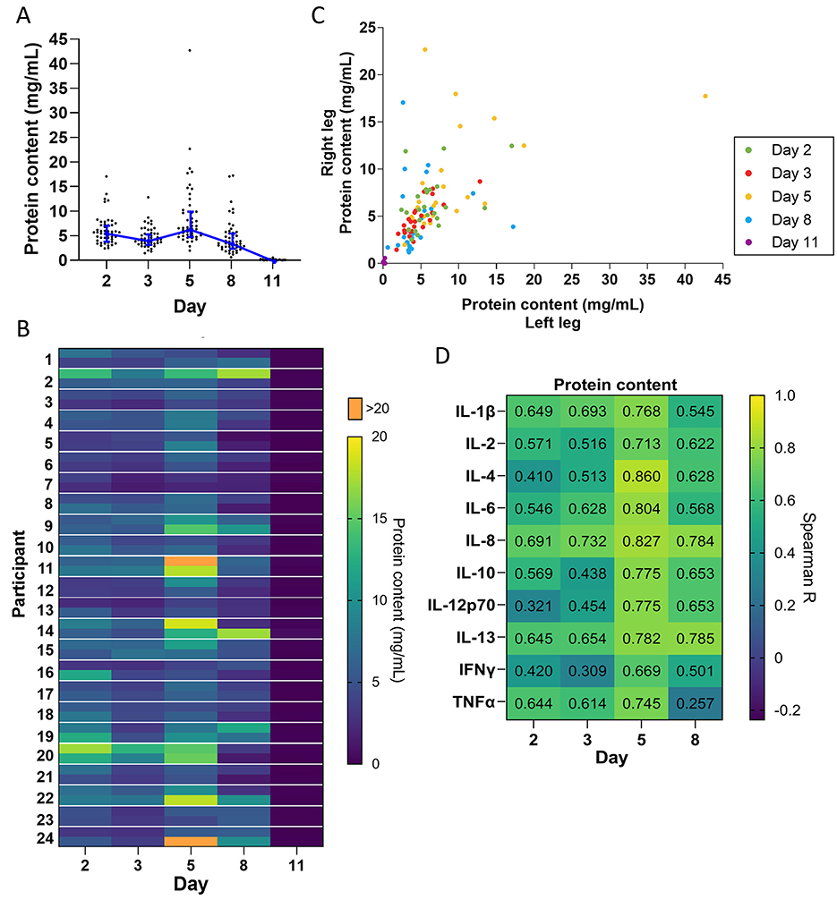 Chart A shows a line graph with a decreasing trend of protein content from day two to day eleven. Chart B is a heatmap indicating varying protein content levels in participants over the same period. Chart C is a scatter plot comparing protein content in wounds on the left and right legs over five days, with color-coded points for each day. Chart D is a heatmap depicting Spearman correlation coefficients between protein content and various cytokines over five days, with values ranging from 0.257 to 0.860.