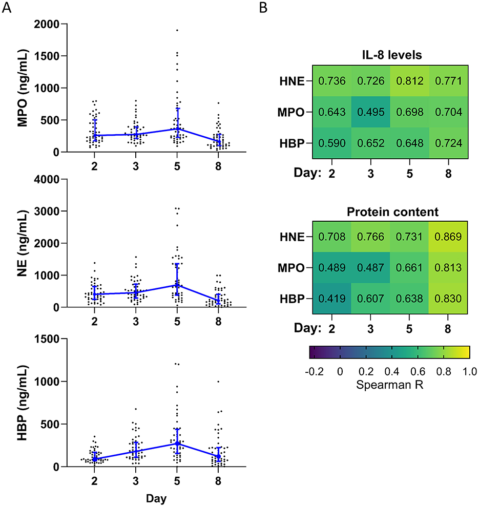 Graphs and heatmaps showing MPO, NE, and HBP concentrations over days two, three, five, and eight. The graphs (A) depict fluctuations in concentrations in ng/mL, while heatmaps (B) display correlations of IL-8 levels and protein content with HNE, MPO, and HBP levels. Spearman correlation values range from 0.419 to 0.869.