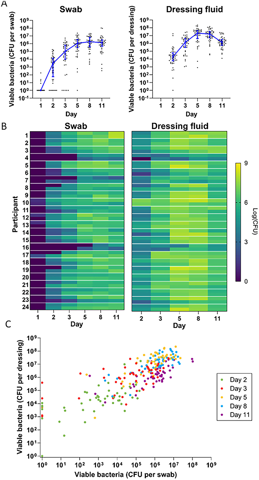 Graph series showing bacterial viability data. Graph A: Line charts depict viable bacteria colony-forming units (CFU) from swabs and dressing fluid over 11 days, indicating bacterial growth over time. Graph B: Heatmaps display bacterial CFU levels for individual participants across days, with color gradients from purple (low) to yellow (high). Graph C: Scatter plot shows correlation between CFU from swabs and dressing fluid, with data points color-coded by day (2, 3, 5, 8, 11).