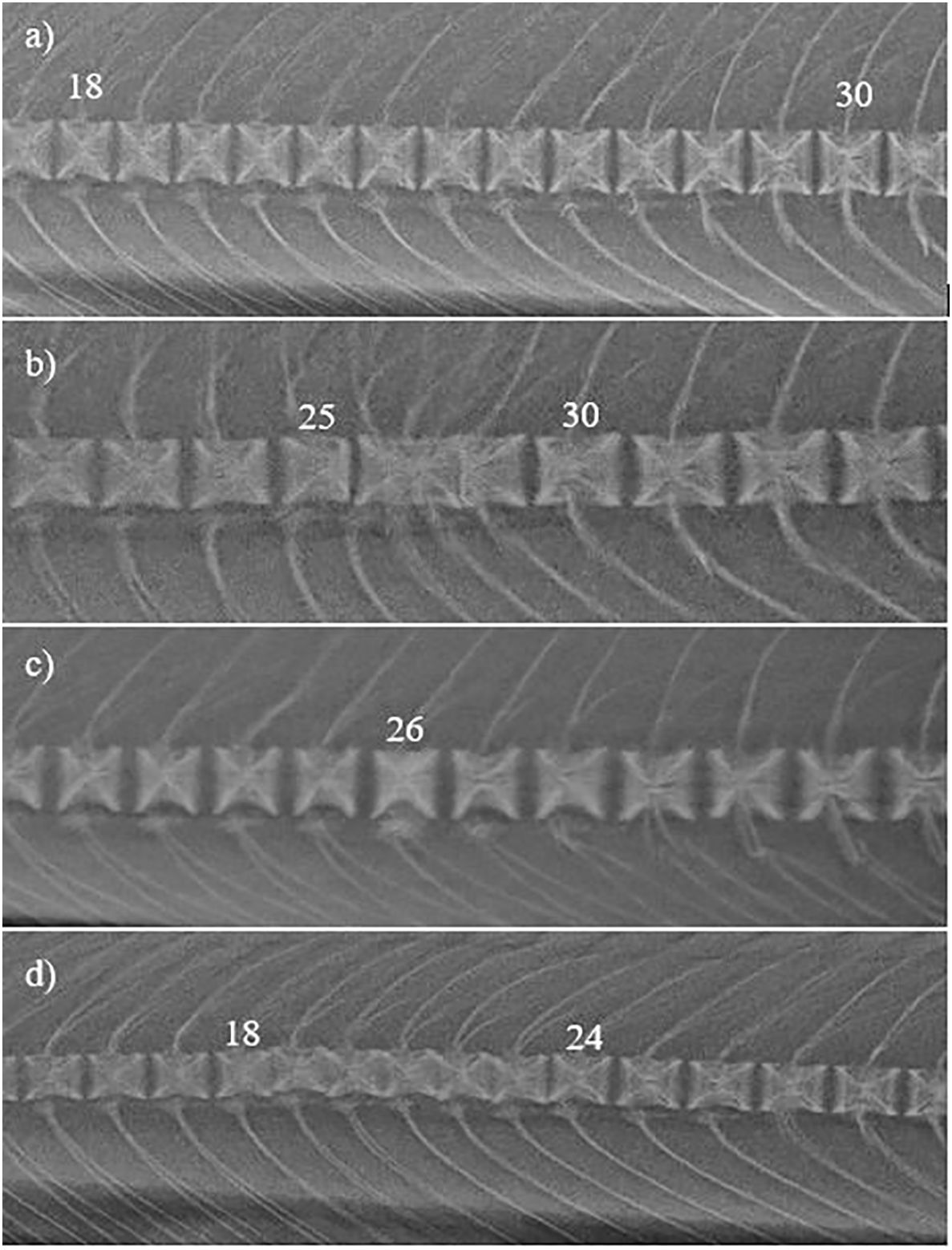 Radiographic images of vertebrae of Atlantic salmon with a) normal spine, b) fused vertebrae, c) hyper dense vertebrae, and d) missing intervertebral space. Numbers denote the vertebral number counted from the cranium.