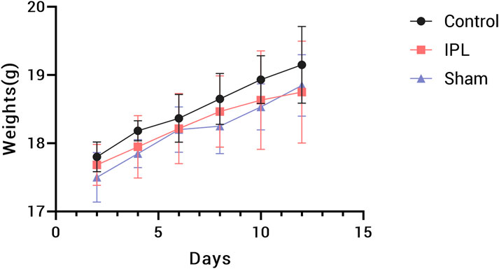 Line graph showing weight changes over 15 days for three groups: Control (black circles), IPL (red squares), and Sham (blue triangles). All groups increase in weight, with Control consistently higher. Error bars are included.
