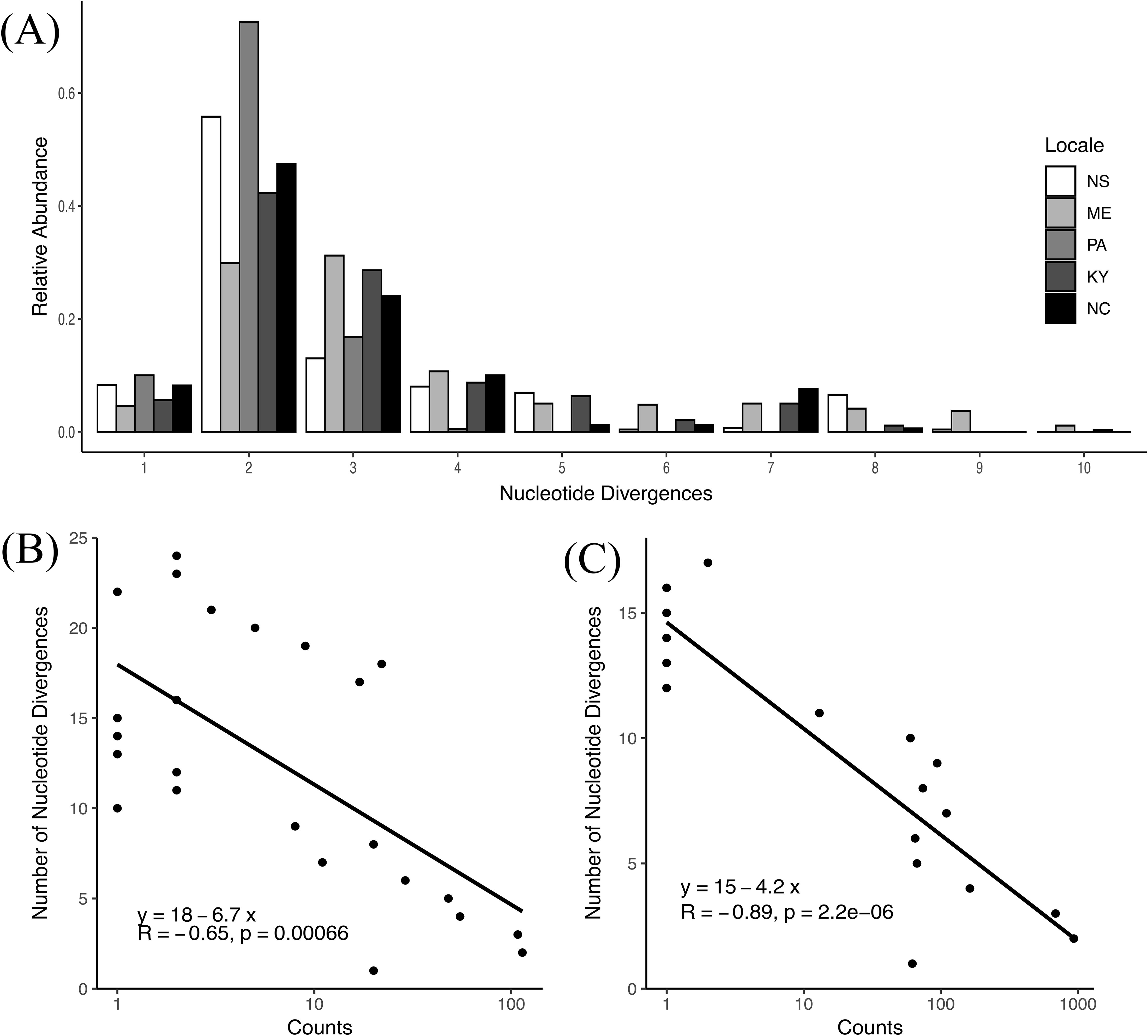 Panel A shows a histogram of relative abundance versus nucleotide divergences across five locales: NS, ME, PA, KY, and NC, with varying bar heights. Panel B and C are scatter plots with logarithmic scales for counts against the number of nucleotide divergences, showing negative correlations. Panel B has a correlation coefficient of -0.65 and a p-value of 0.00066. Panel C shows a stronger negative correlation with an R of -0.89 and a p-value of 2.2e-06, with best-fit lines on both plots.