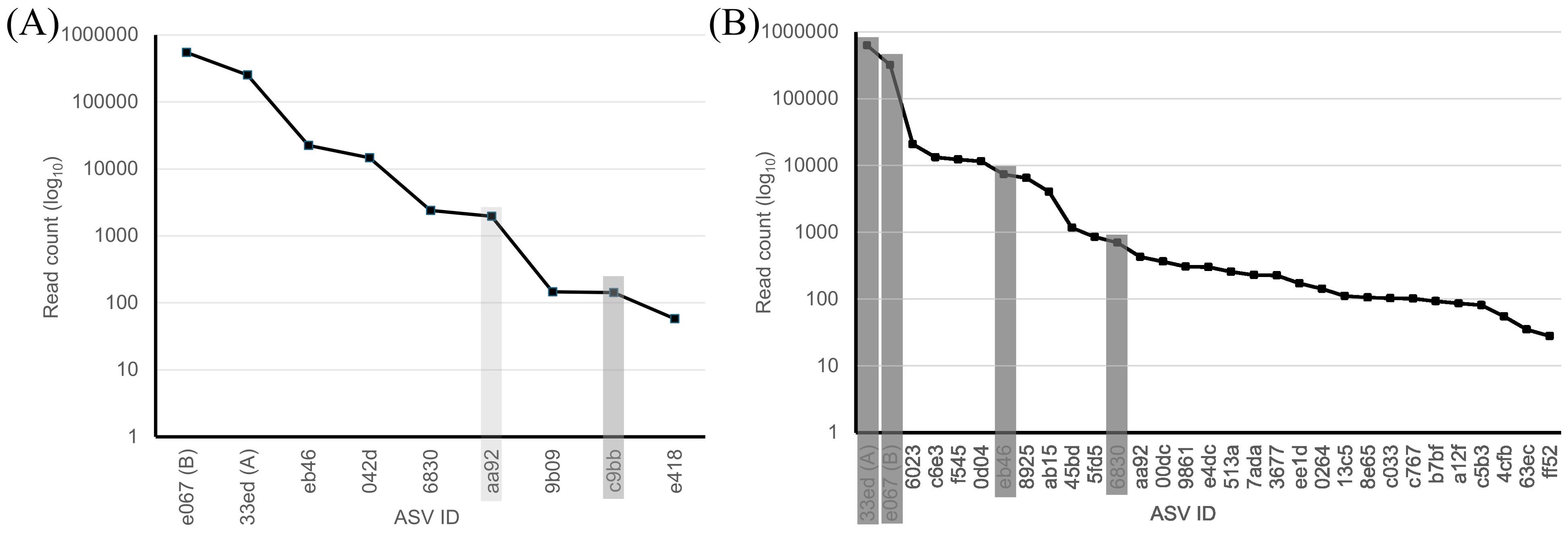 Two line graphs labeled A and B plot read counts on a logarithmic scale against ASV ID. In both graphs, the read counts decrease as ASV IDs increase. Graph B features more data points and shaded vertical bars highlighting specific ASVs. Both graphs display a downward trend, with graph A having fewer data points and focusing on high read counts.