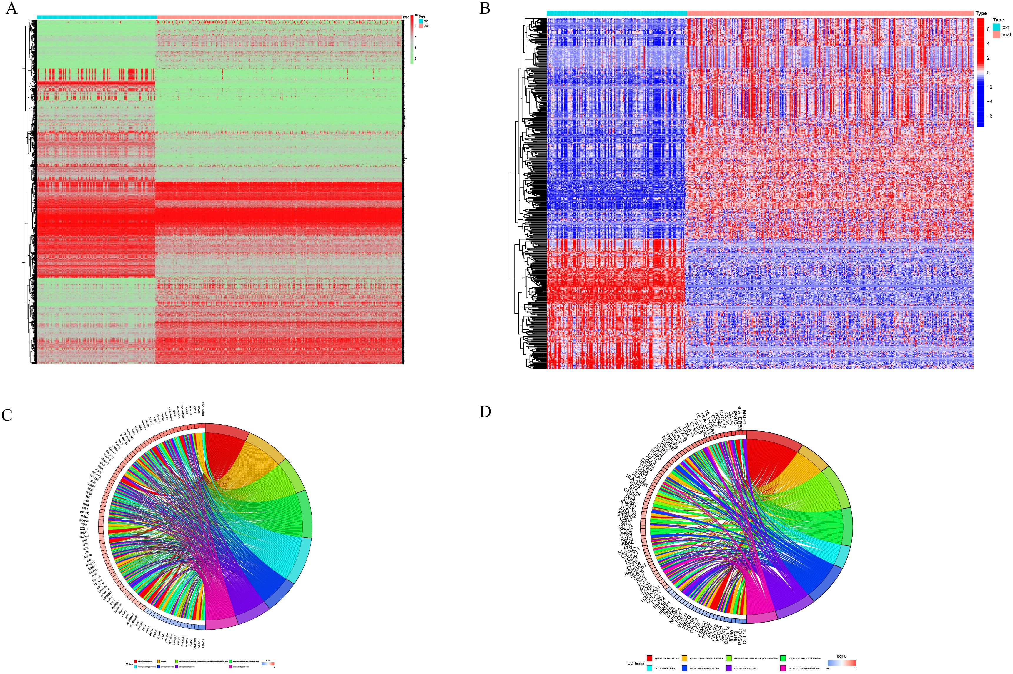Heatmaps A and B compare gene expressions with green to red and blue to red gradient scales, respectively, showing clustering patterns. Circular diagrams C and D visually map relationships between different gene ontology terms using colorful segments and connecting lines to illustrate connections.
