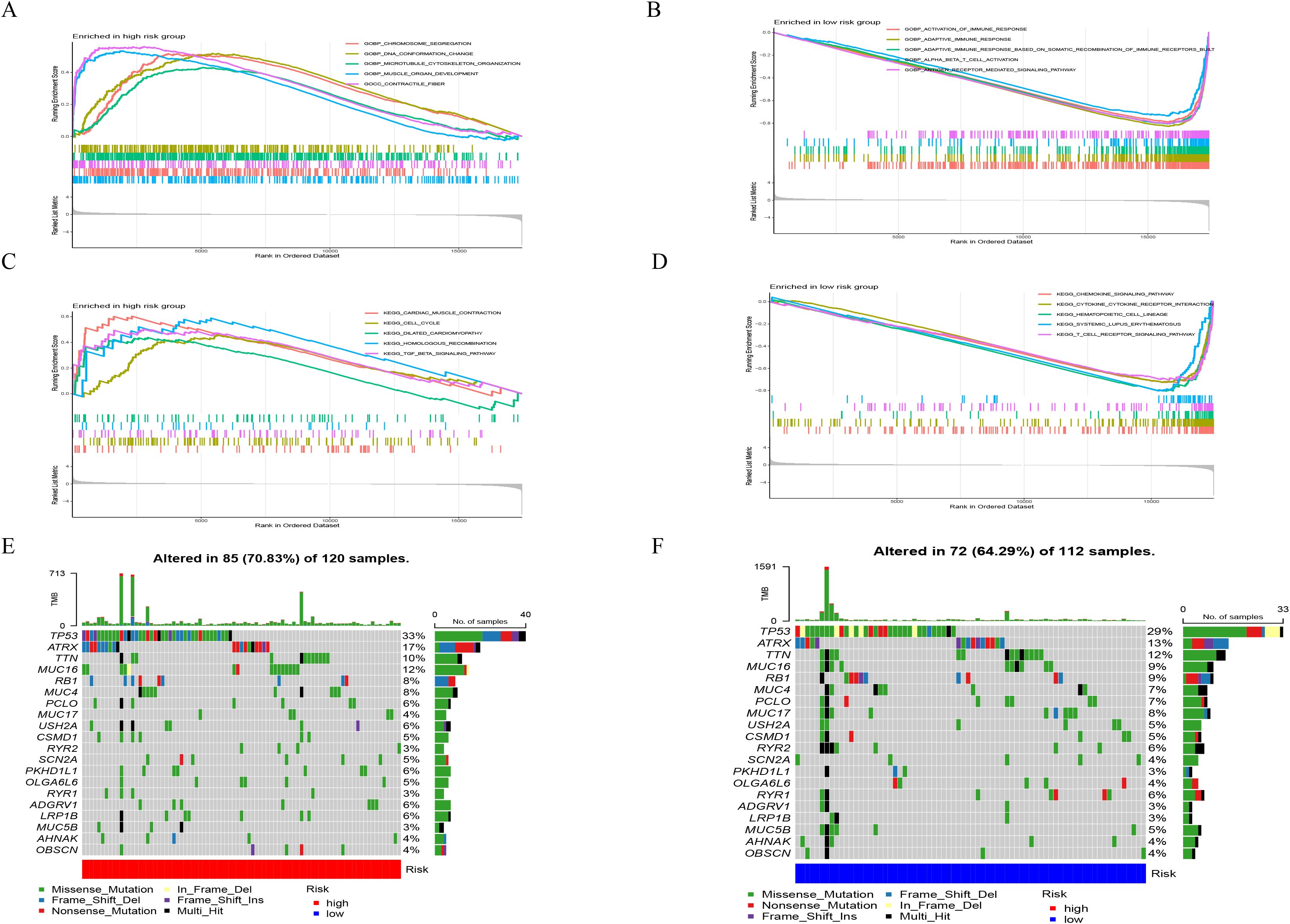 Data visualization consisting of six panels. Panels A and C display enrichment plots for gene sets, with high risk group enrichment in A and low risk in C. Panels B and D show enrichment plots for immune responses, with high risk group enrichment in B and low risk in D. Panels E and F are mutation maps, highlighting samples with genetic alterations. Panel E shows mutations in 85 out of 120 samples, while panel F shows mutations in 72 out of 112 samples. Both panels categorize mutations with color codes, indicating mutation types and risk levels.