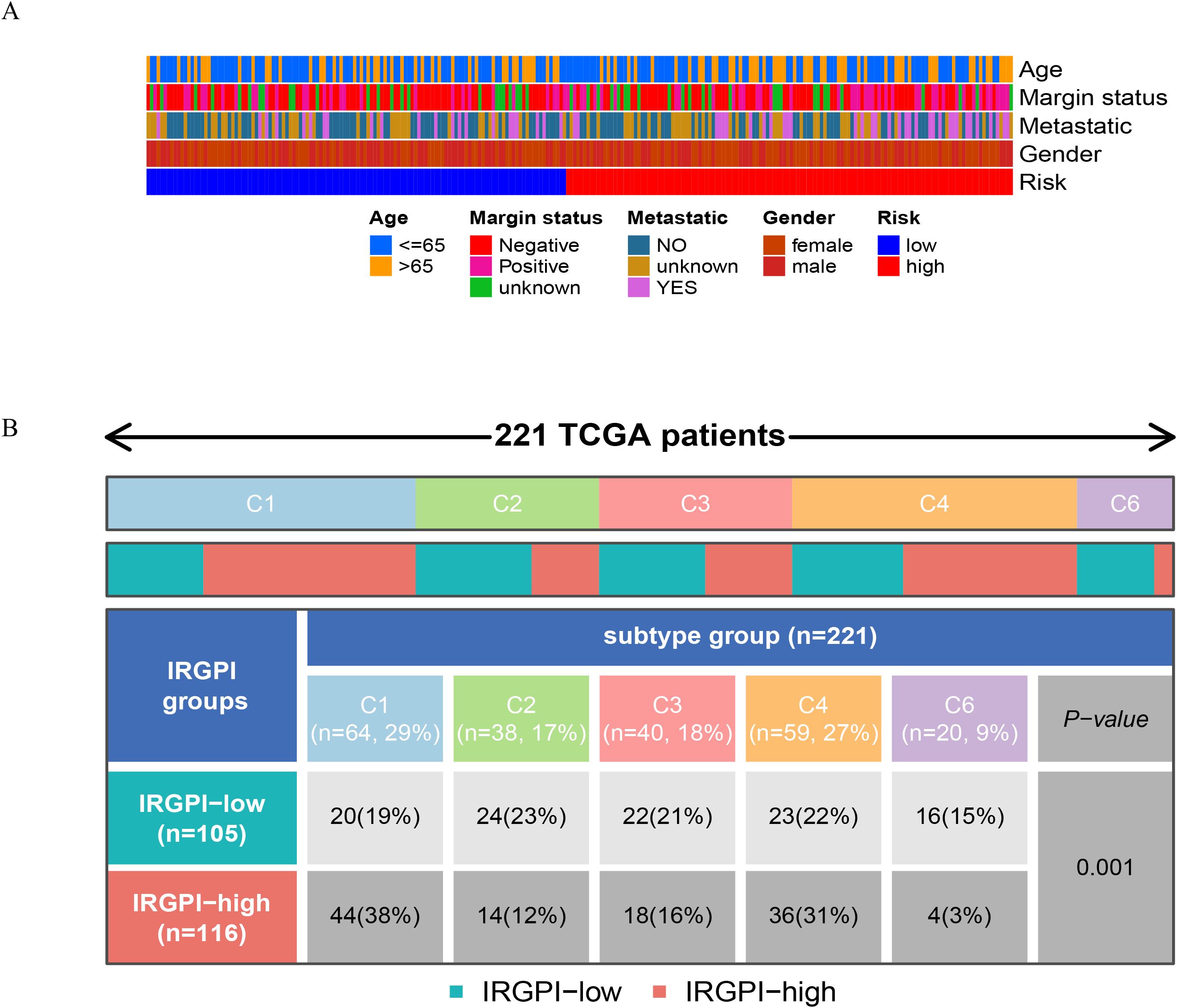 Diagram displaying patient data from a study involving 221 TCGA patients. Part A shows a multicolored bar plot representing variables like age, margin status, metastatic presence, gender, and risk factors. Part B is a categorization of patients into subtypes C1 through C6, with percentages and numerical counts for low and high IRGPI groups. A table is included, showing distribution and a p-value of 0.001.