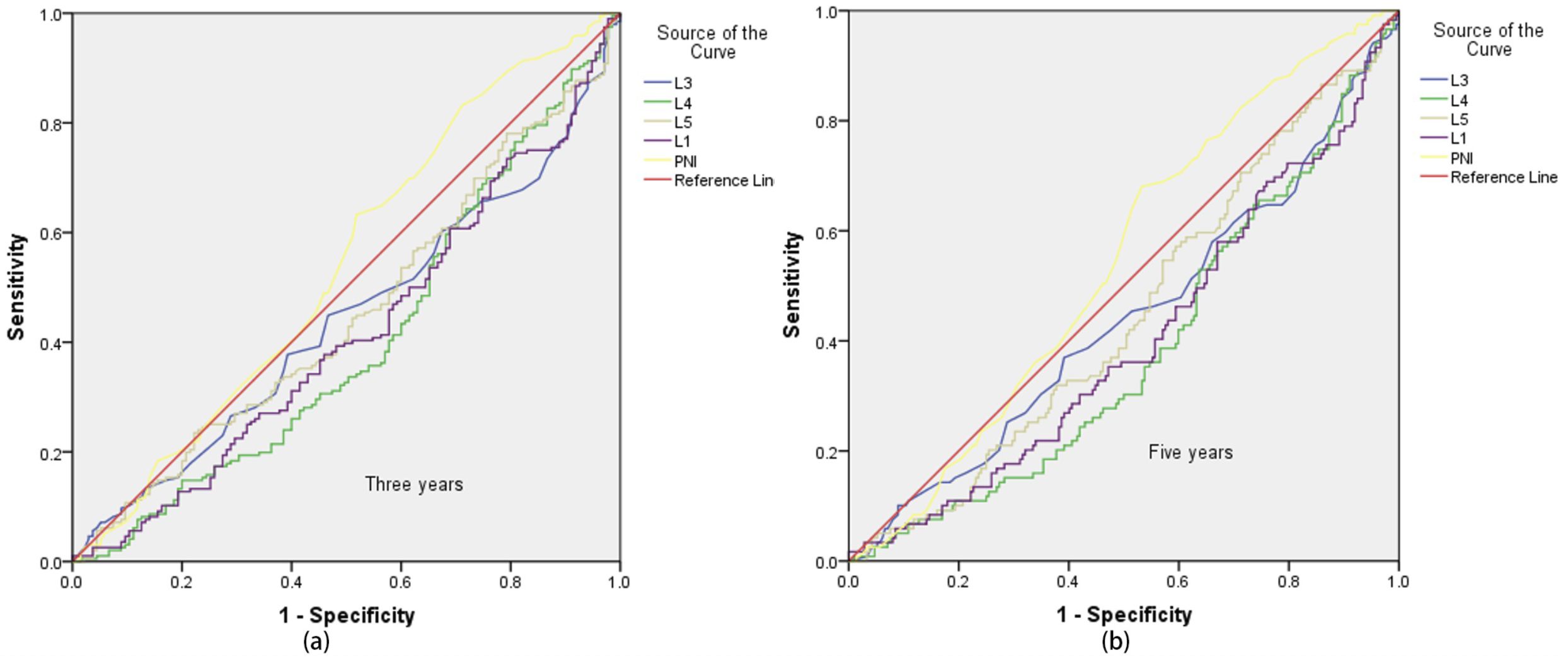 Two ROC curve graphs compare sensitivity versus one minus specificity for three years and five years. Both graphs include lines for L3, L4, L5, L1, PNI, and a reference, each in different colors. The reference line follows the diagonal. Sensitivity ranges from zero to one on the y-axis.