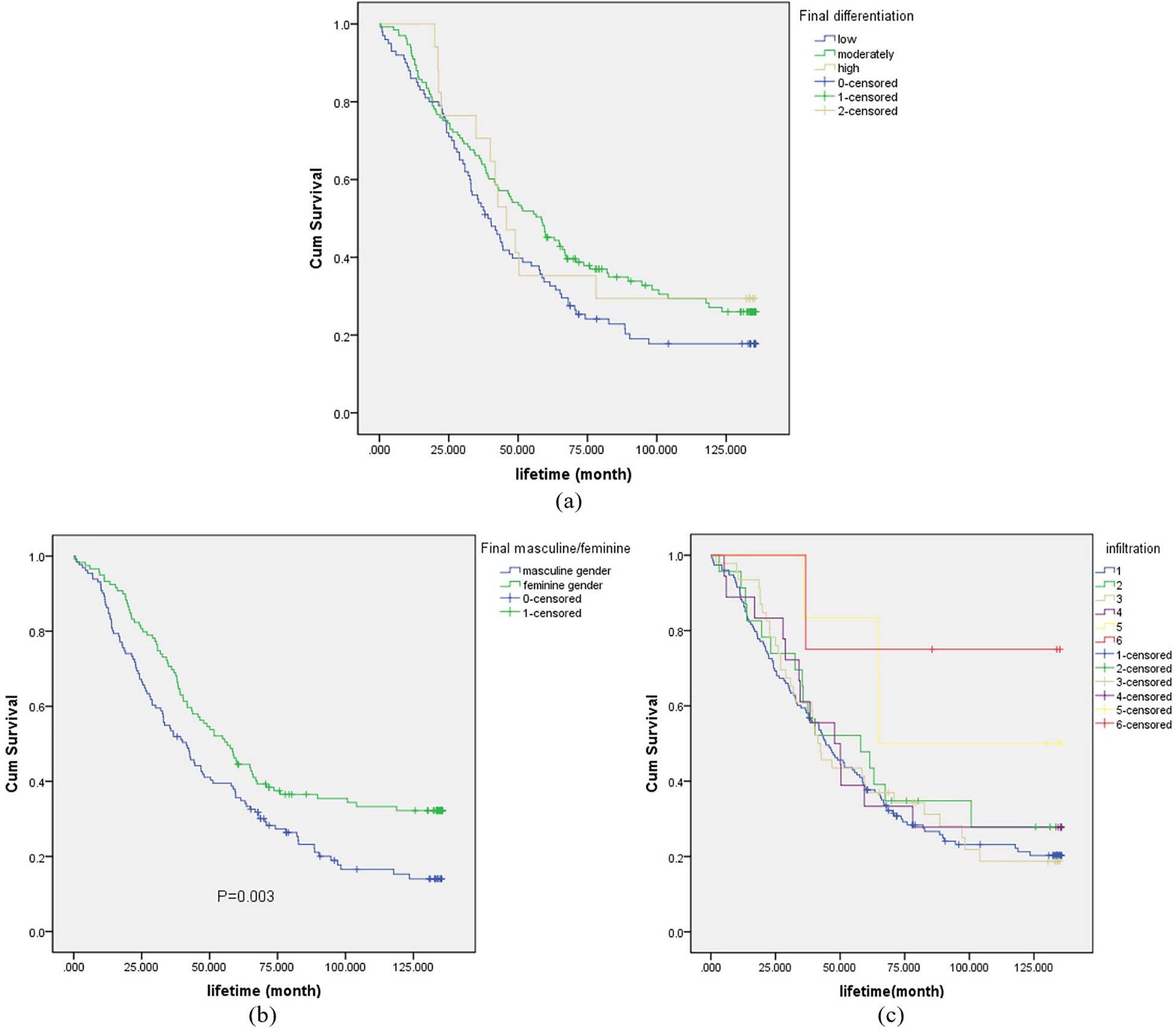Three Kaplan-Meier survival curves are displayed. (a) Survival by differentiation level: low, moderately, and high. (b) Survival by gender showing masculine and feminine, with a significance of P=0.003. (c) Survival by infiltration stages one to six, each with separate curves. Each graph plots cumulative survival against lifetime in months.