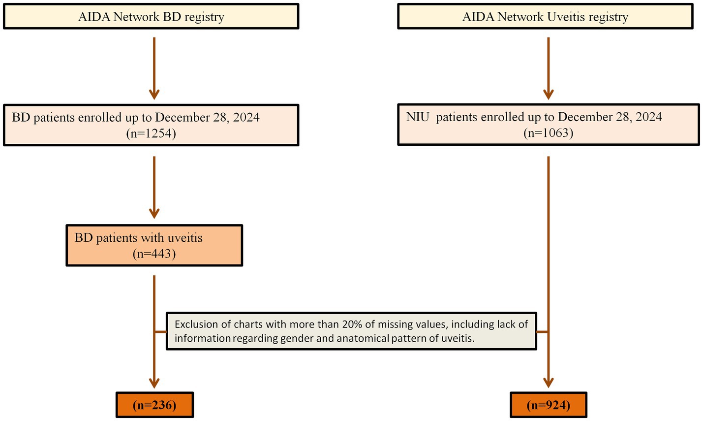 Flowchart illustrating the AIDA Network's BD and Uveitis registries. Left: BD registry with 1,254 patients enrolled, 443 with uveitis, reduced to 236 after excluding charts with over 20% missing values. Right: Uveitis registry with 1,063 patients, reduced to 924 after similar exclusions.