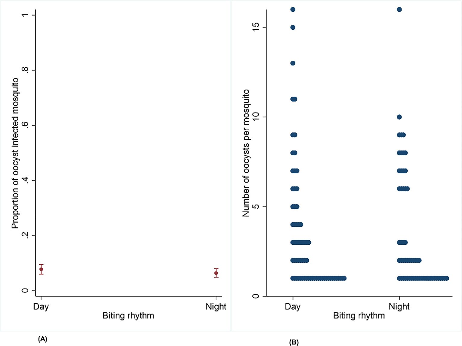 Two graphs labeled C and D compare mosquito biting rhythms. Graph C shows the proportion of oocyst-infected mosquitoes with error bars for day and night. Graph D displays the number of oocysts per mosquito as dot plots for day and night. Both graphs have the biting rhythm on the x-axis.