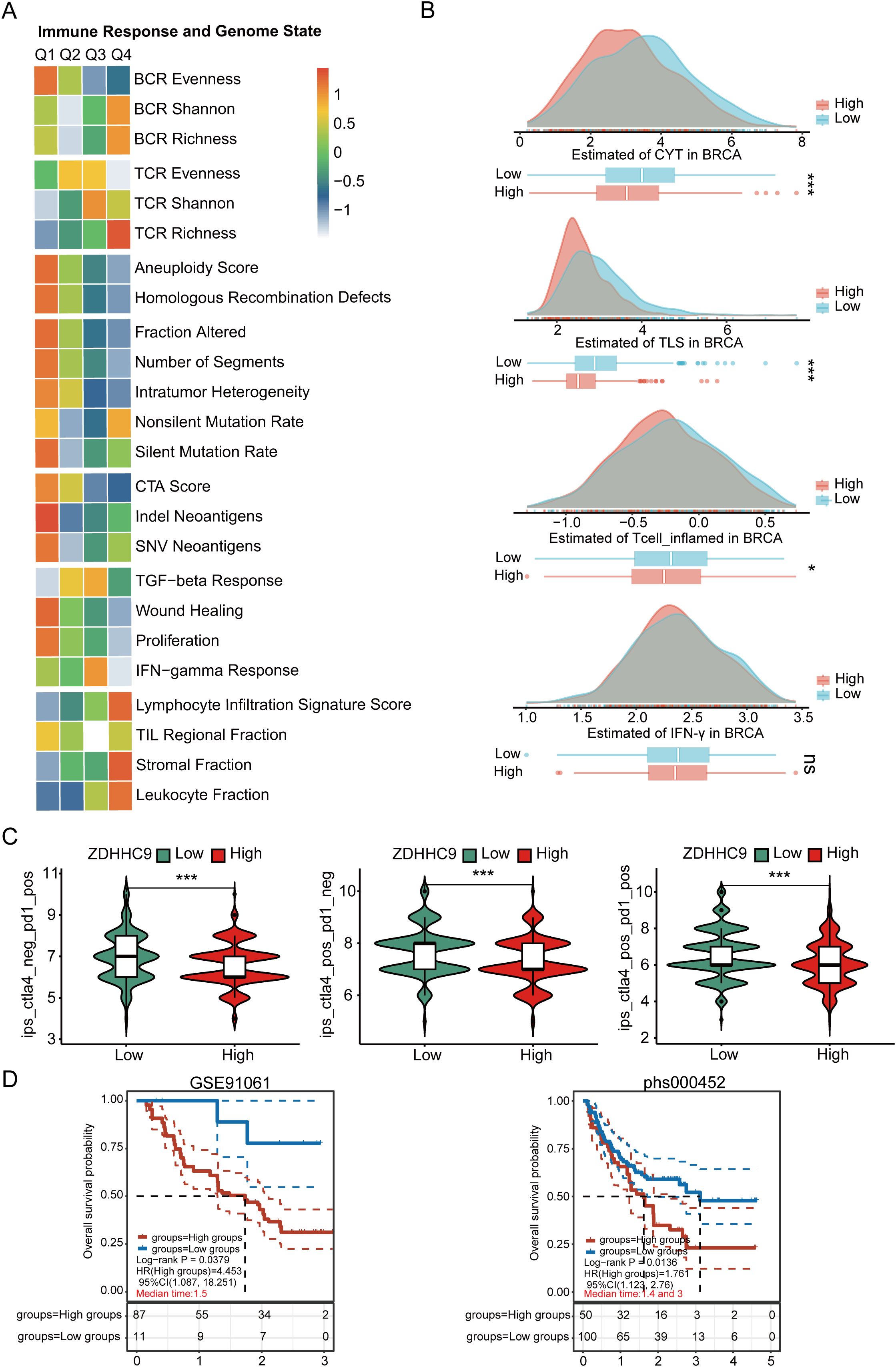 Panel A displays a heatmap correlating immune response and genome state factors, with BCR and TCR metrics among others, ranging from -1 to 1. Panel B features density plots with box plots for estimated CYT, TLS, and Tcell_inflamed levels in BRCA, comparing high and low groups with statistical significance indicated. Panel C shows violin plots for ZDHHC9 expression effects on PD1 and CTLA4 markers, displaying low and high groups with statistical significance marked. Panel D contains survival curves from two datasets, GSE91061 and phs000452, indicating overall survival probabilities for high and low expression groups.