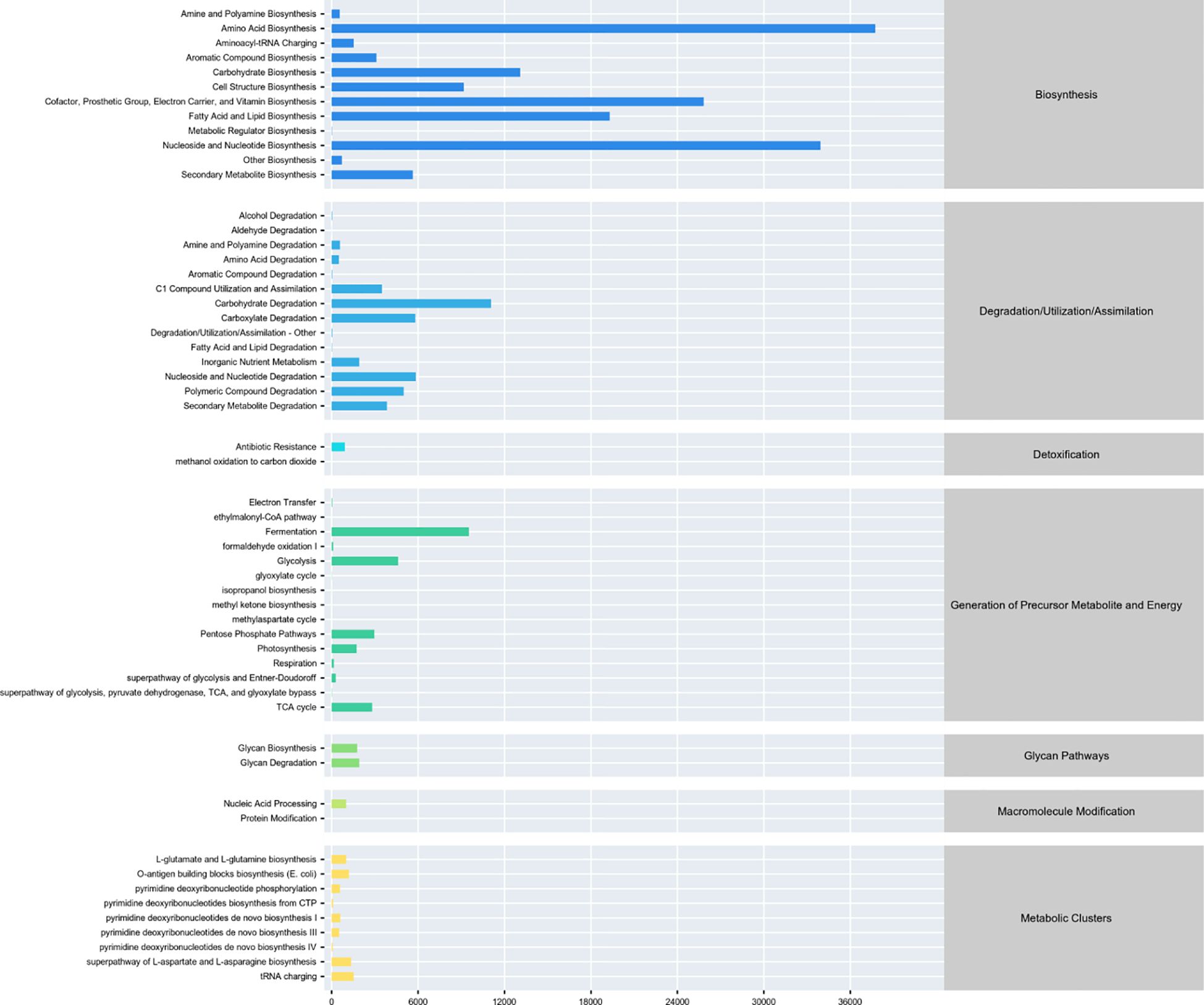 Bar chart illustrating various metabolic pathways, categorized into sections such as Biosynthesis, Degradation/Utilization/Assimilation, Detoxification, Generation of Precursor Metabolite and Energy, Glycan Pathways, Macromolecule Modification, and Metabolic Clusters. Each section highlights different biochemical processes with varying bar lengths representing their respective frequencies or activities.