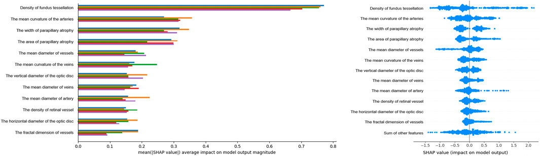 Bar and violin plots showcasing the impact of different eye-related features on model output. Left plot shows mean SHAP values, with