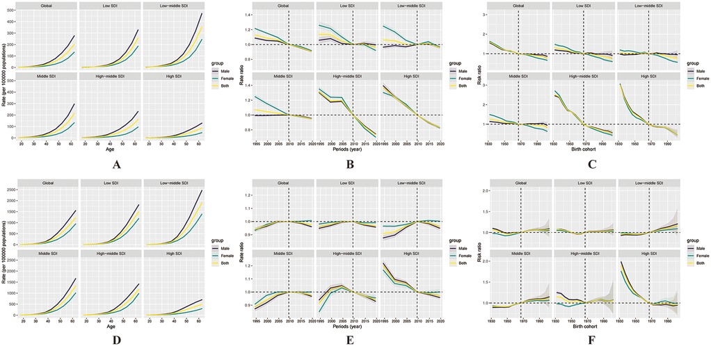 The image contains six panels labeled A to F, each featuring multiple line graphs. Panels A and D show age-specific rates per 100,000 population, while panels B and E and C and F display rate ratios and risk ratios by periods and birth cohorts, respectively. Each panel compares global and different socio-demographic index (SDI) regions: Global, Low SDI, Low-middle SDI, Middle SDI, High-middle SDI, and High SDI. Lines are color-coded by gender: male, female, and both. Vertical and horizontal dashed lines mark specific years and ratio thresholds.