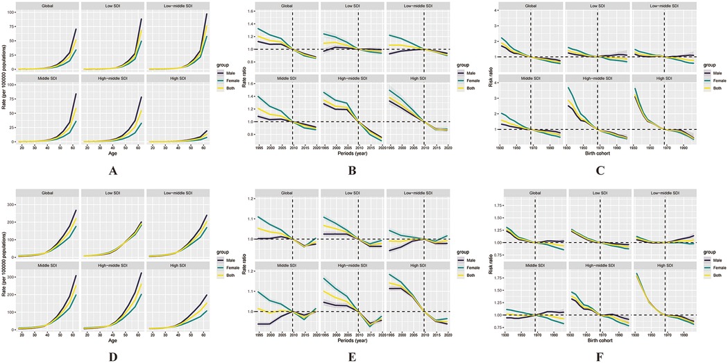 Six panels of graphs (A to F) display data trends by age, period, and birth cohort across different Socio-Demographic Index (SDI) levels. Each graph is divided into categories for males, females, and both, using color-coded lines. Panels A and D show rates by age; B and E illustrate rate ratios by period; C and F depict risk ratios by birth cohort. The data is globally inclusive, with panels for low, low-middle, middle, high-middle, and high SDI. Vertical and horizontal dashed lines indicate key reference points in the graphs.