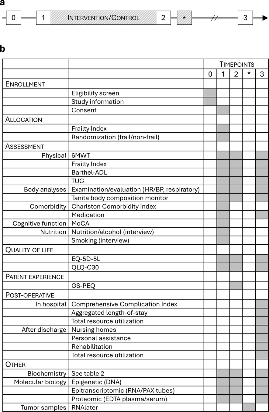 Flowchart and table describing a clinical study design. The flowchart (a) displays study phases: enrollment, intervention/control period, and follow-up. The table (b) outlines activities at each timepoint: 0 (enrollment), 1 (intervention/control), 2, *, and 3 (post-intervention). Categories include enrollment, allocation, assessment, quality of life, patient experience, post-operative, and other aspects like biochemistry and molecular biology, with specific tasks such as frailty index, cognitive function, and tumor samples noted for various intervals.