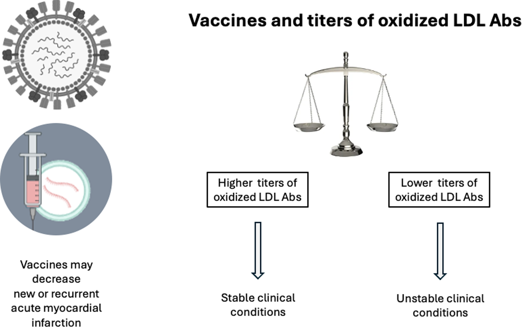 Diagram showing a balance scale illustrating the relationship between oxidized LDL antibodies and clinical conditions. Higher titers are linked to stable clinical conditions, while lower titers are linked to unstable conditions. An injection image suggests vaccines may reduce acute myocardial infarction.