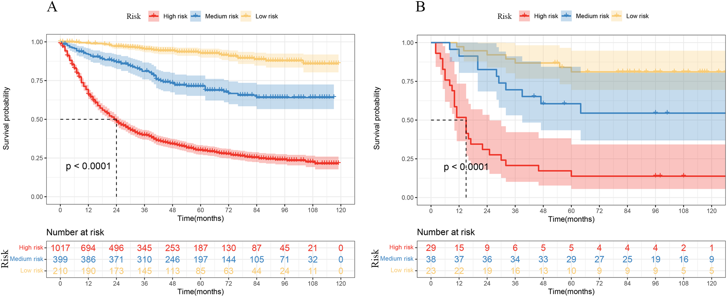 Two Kaplan-Meier survival plots labeled A and B compare survival probabilities over time for high, medium, and low risk groups. Plot A shows a clear separation of groups with low-risk having the highest survival probability, followed by medium and high risk. Plot B, with similar grouping, indicates a significant difference as denoted by p < 0.0001. Both plots include tables below showing the number of participants at risk at different time intervals.