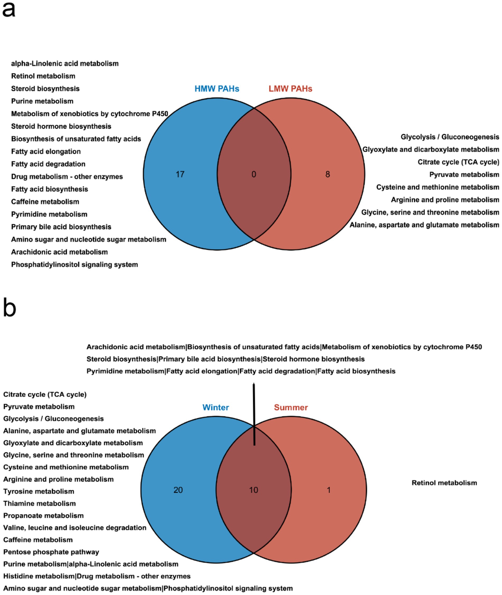 Two Venn diagrams showing metabolic pathways. In diagram (a),