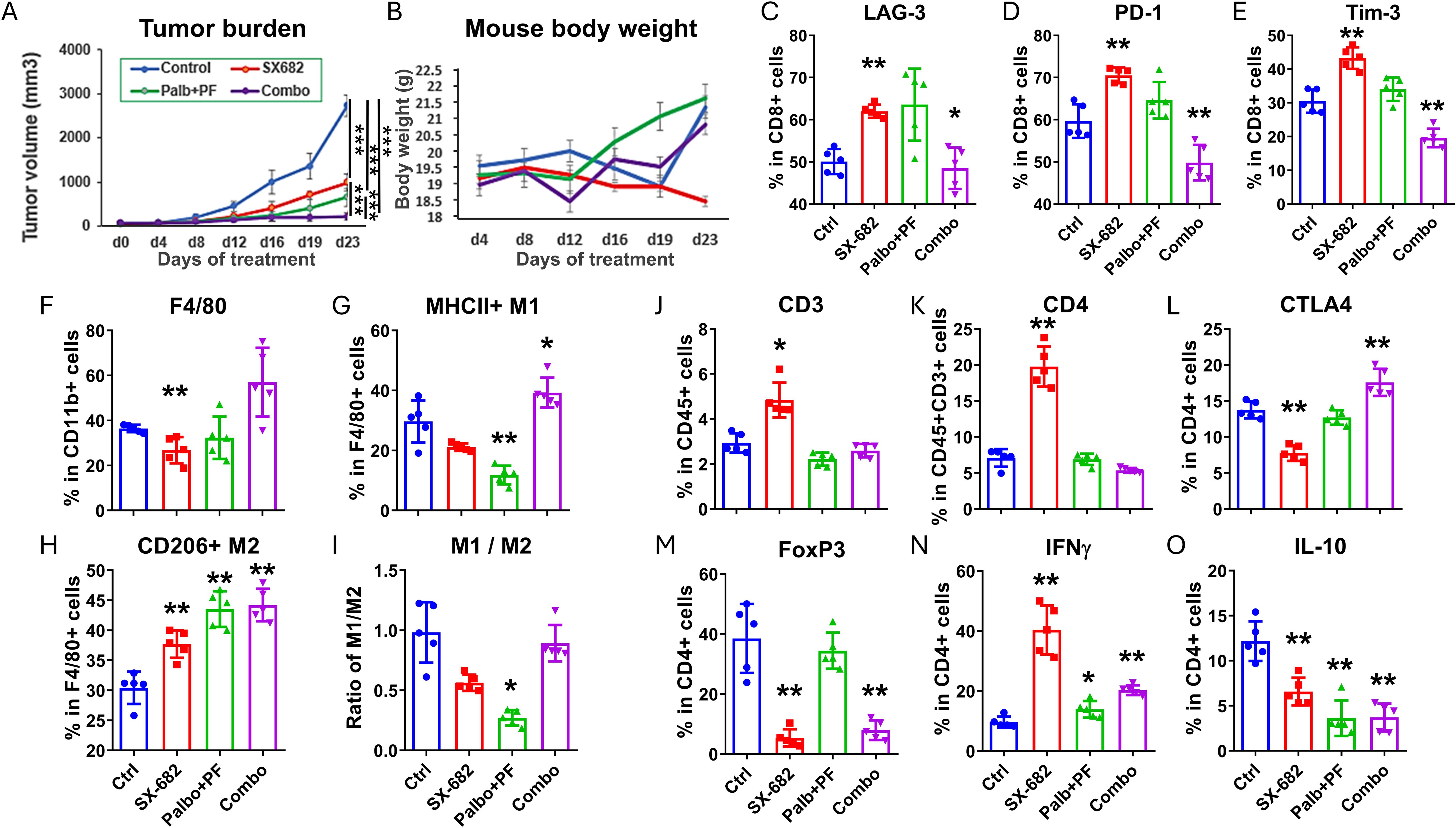 Graphs illustrating the effects of different treatments on tumor volume, mouse body weight, and various cell markers. Panel A shows tumor volume over time, with a significant reduction in the combination treatment. Panel B illustrates stable body weight. Panels C to E display the percentage of CD8+ cells expressing LAG-3, PD-1, and Tim-3 markers, with significant differences across treatments. Panels F to O show percentages of various immune cells and markers like F4/80, MHCII, CD3, CD4, CTLA4, IFNγ, and IL-10. Significant changes are indicated, comparing control, SX682, Palb+PF, and combination treatments.