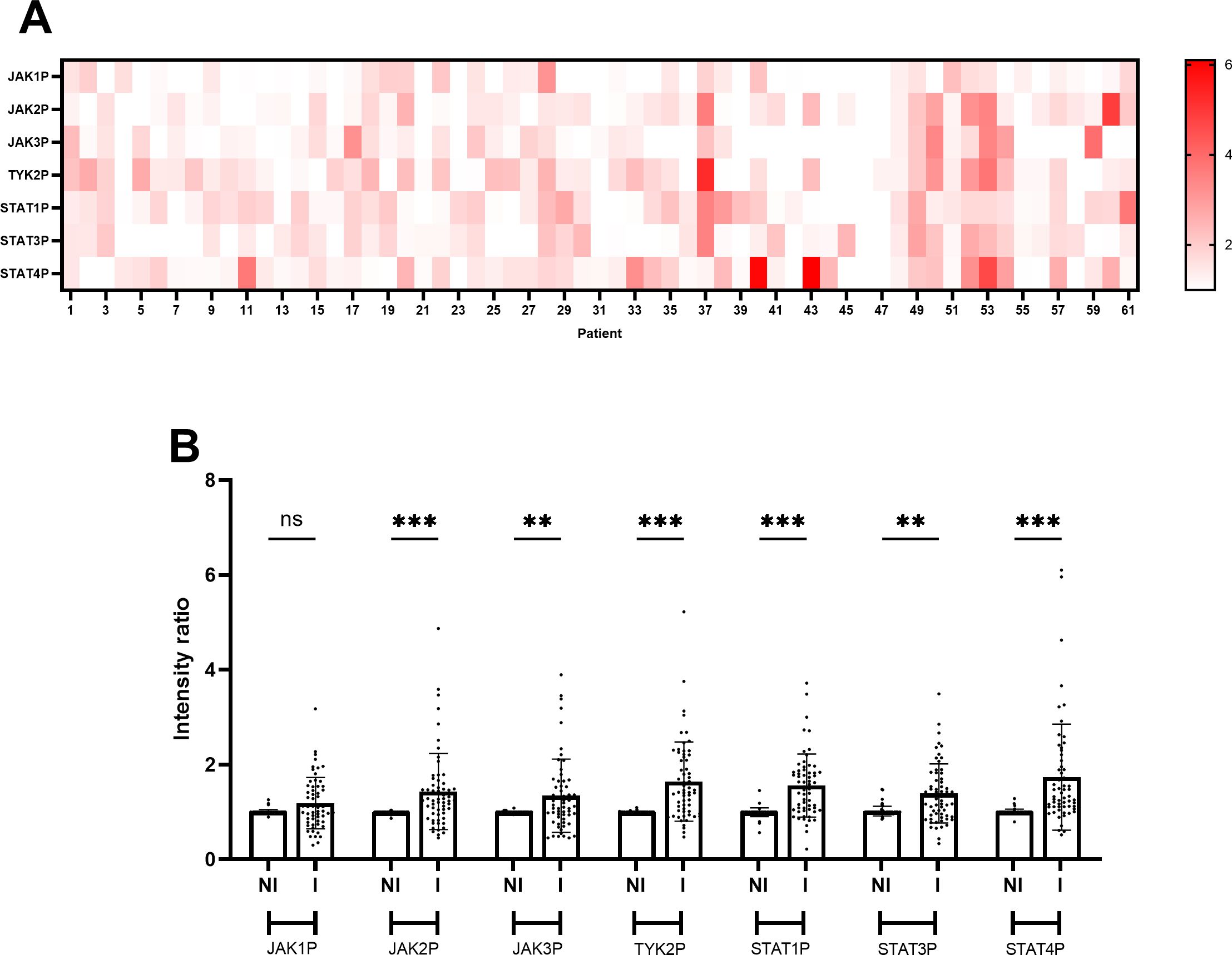 Panel A shows a heatmap with varying shades of red representing expression levels of markers JAK1P, JAK2P, JAK3P, TYK2P, STAT1P, STAT3P, and STAT4P across 61 patients. Panel B displays bar graphs comparing intensity ratios of these markers between non-inflammatory (NI) and inflammatory (I) conditions, highlighting statistically significant differences with asterisks.