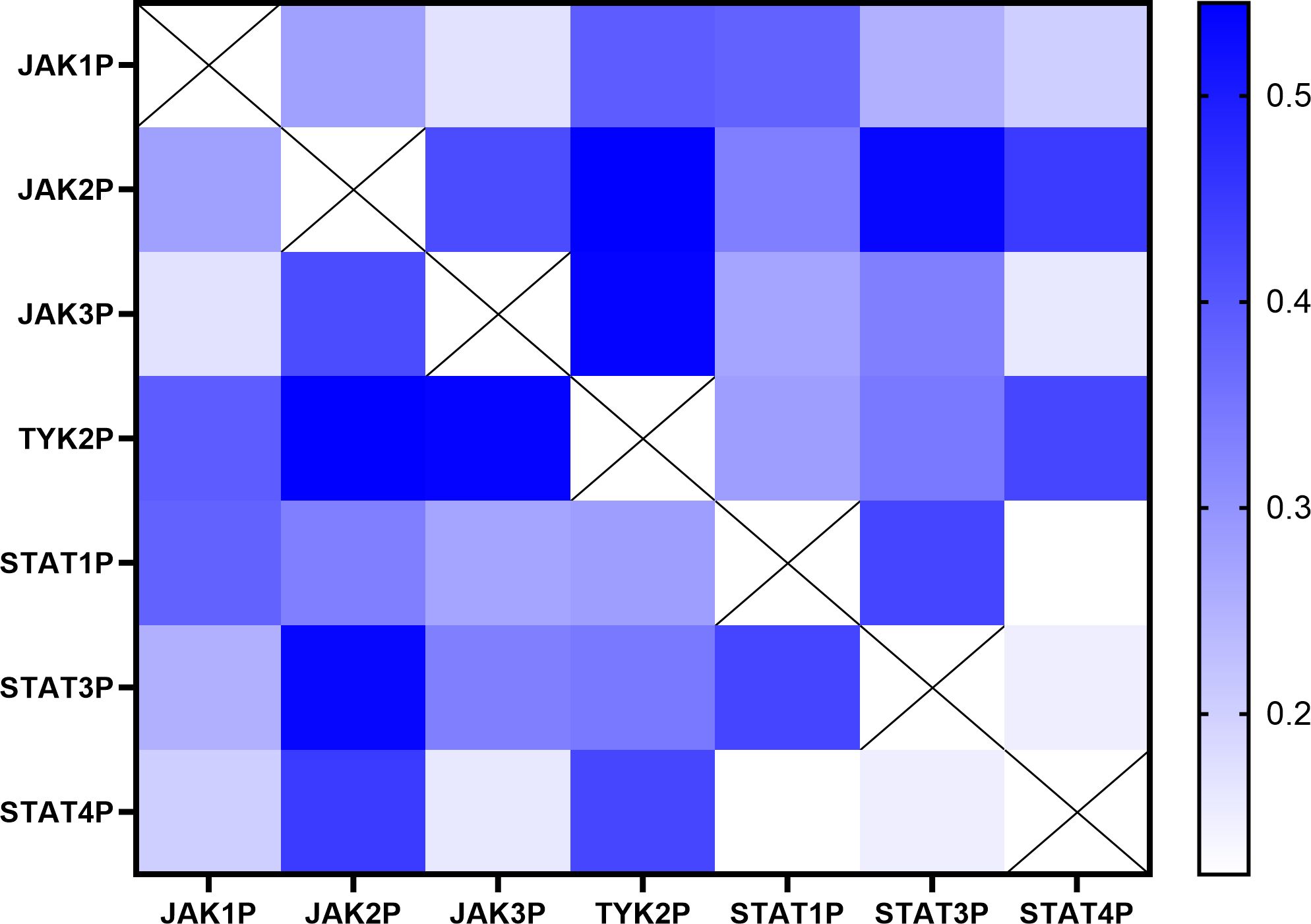 Heatmap showing correlation between different proteins (JAK1P, JAK2P, JAK3P, TYK2P, STAT1P, STAT3P, STAT4P). Colors range from light to dark blue indicating correlation strength. Diagonal shows auto-correlation.