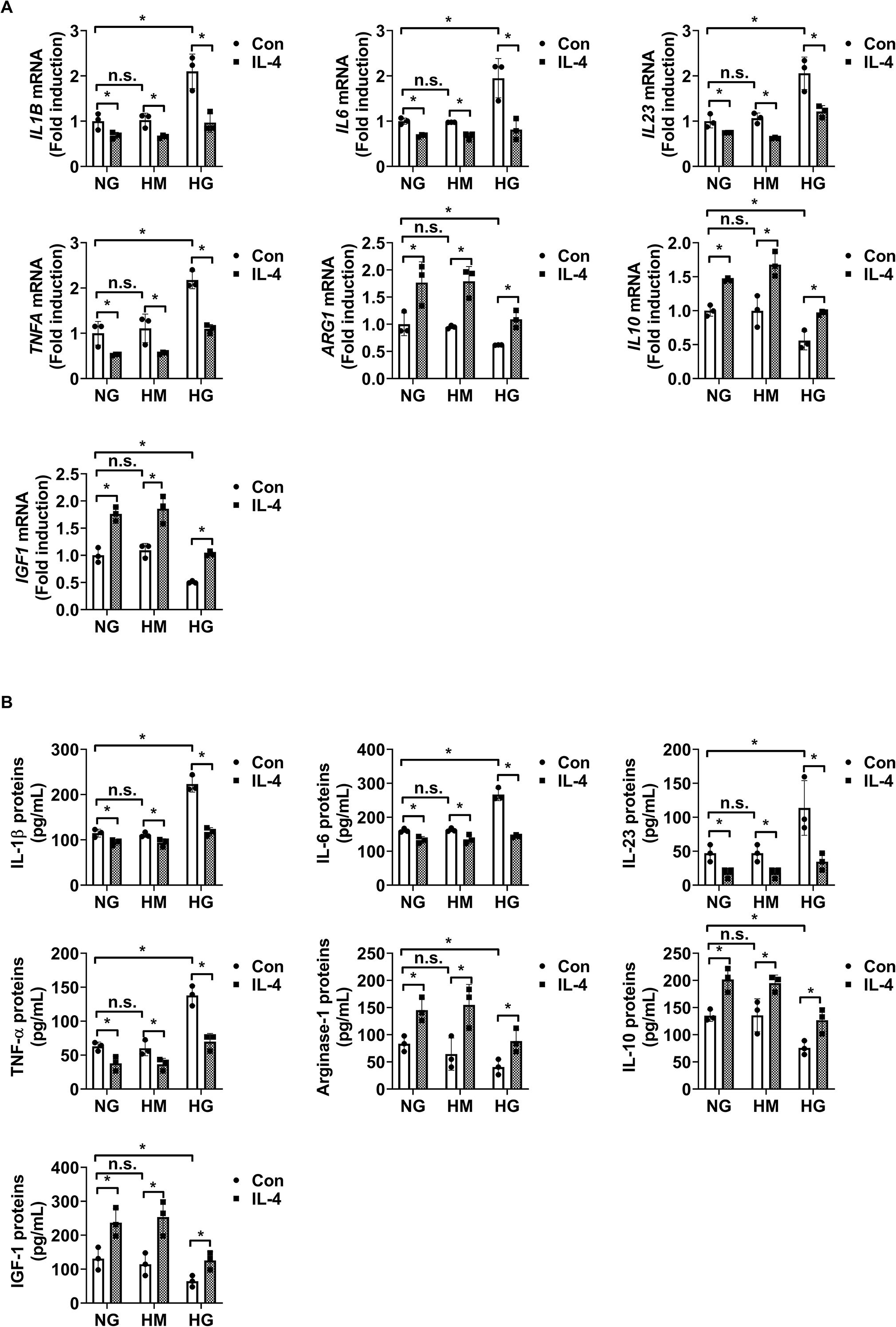 Bar charts comparing mRNA and protein expression levels under various conditions labeled as NG, HM, and HG. The charts are divided into two groups: A) mRNA and B) protein levels, showing changes in expression for IL-1B, IL-6, IL-23, TNF-alpha, ARG1, IL-10, and IGF-1. Expression is compared between control and IL-4 treatment, with statistical significance indicated by asterisks.