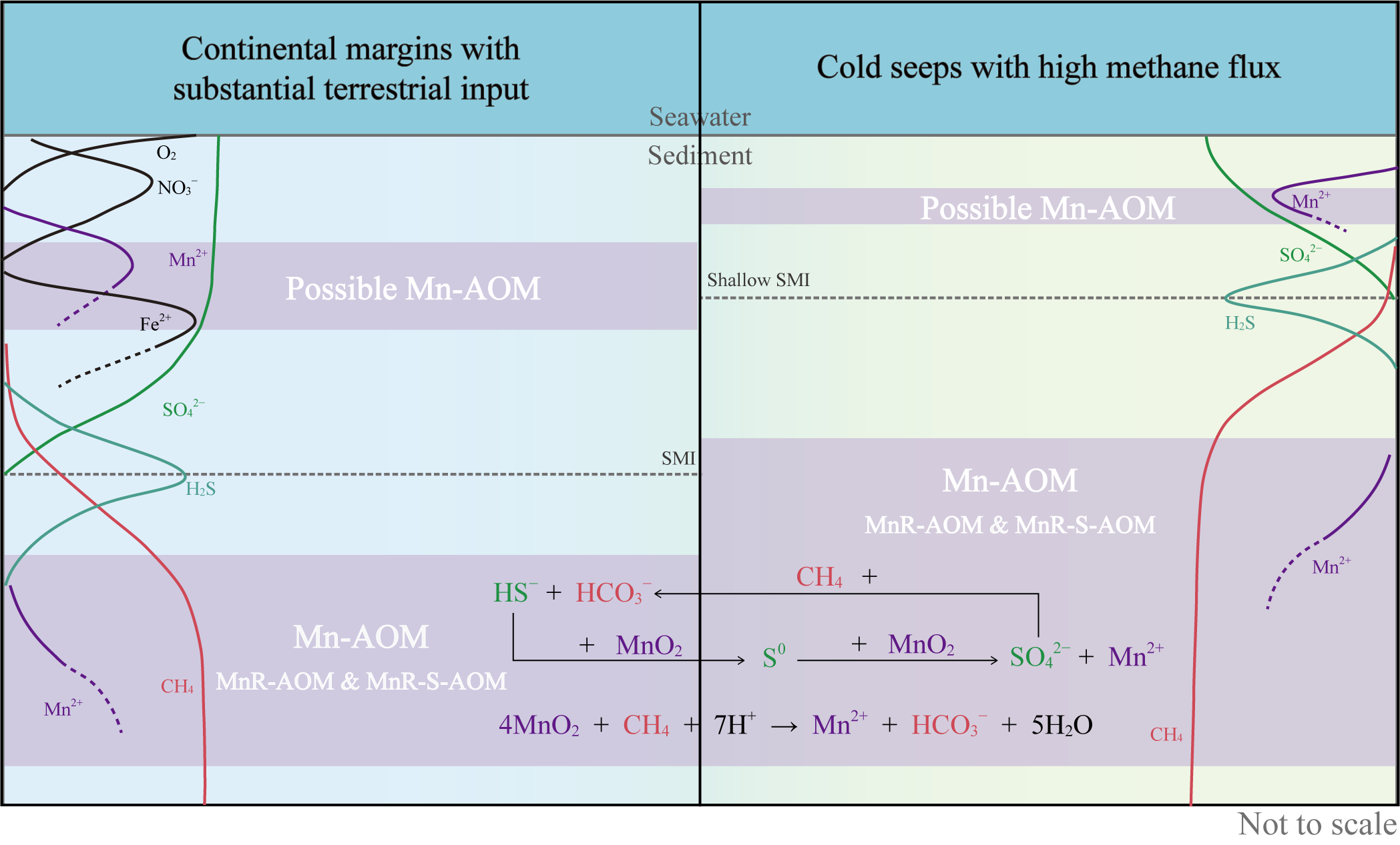Diagram comparing chemical reactions in continental margins with terrestrial input and cold seeps with high methane flux. The left panel shows the possible Mn-AOM in continental margin sediments and its vertical zonation. The right panel illustrates Mn-AOM in cold seeps with high methane flux." also indicating the vertical distribution. Both panels indicate sediment and seawater layers with reaction zones and pathways.