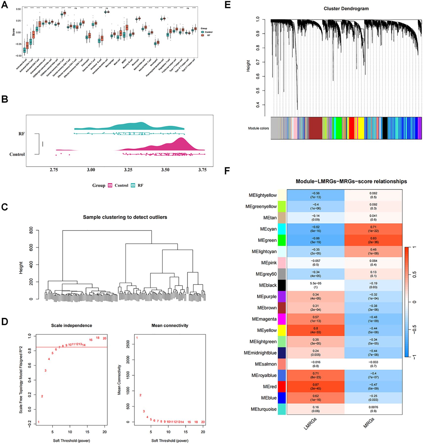 A) Box plot comparing expression levels of multiple genes between control and RF groups, highlighting statistically significant differences. B) Ridgeline plot showing distribution overlap for the control and RF groups. C) Dendrogram depicting hierarchical clustering of samples to identify outliers. D) Two plots for scale independence and mean connectivity against soft threshold power. E) Cluster dendrogram with colored modules representing correlated gene sets. F) Heatmap displaying module-LMRG-MRG correlations with varying color intensities representing correlation strength and significance.