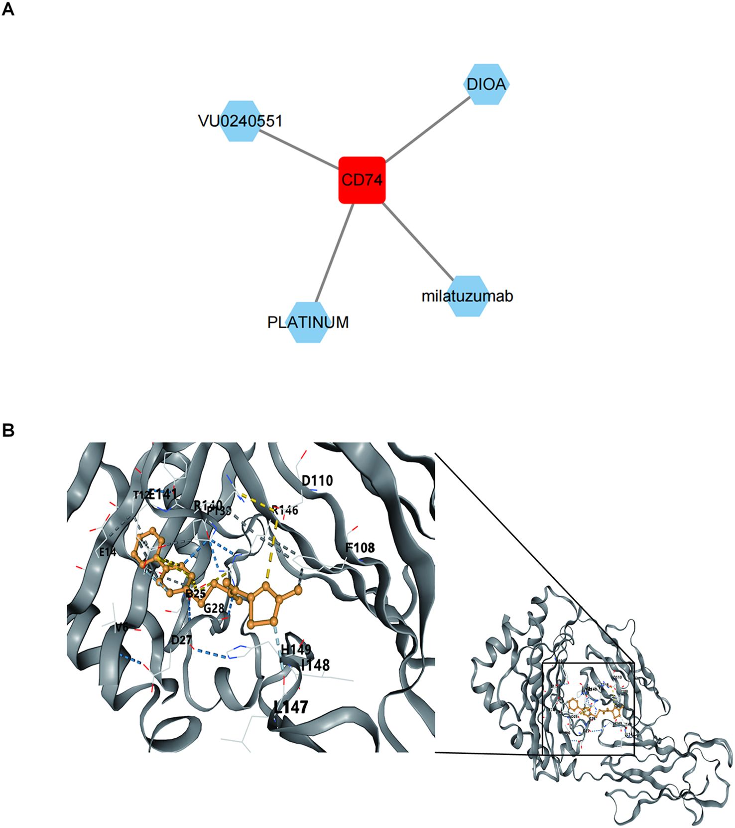 Panel A shows a Drug-key gene CD74 relationship network. Panel B depicts a detailed view of a protein structure with labeled amino acids interacting with a highlighted orange ligand, focusing on regions containing several specific residues.