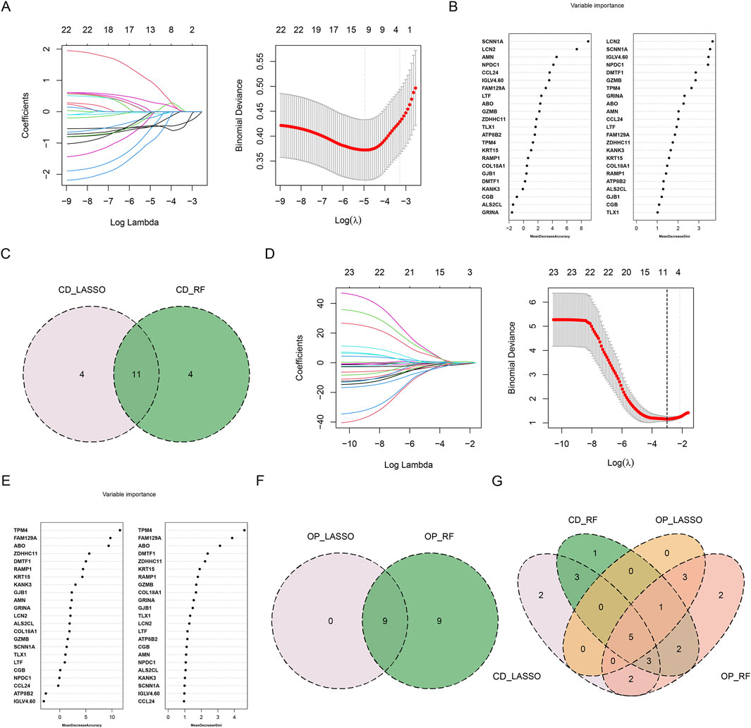 Multiple data visualizations are displayed. Panel A shows two graphs related to coefficients and binomial deviance as functions of log lambda in CD; Panel B lists variable importance for two datasets. Panel C has a Venn diagram comparing CD_LASSO and CD_RF with overlapping and unique values. Panel D displays similar graphs to Panel A, but for OP. Panel E shows variable importance for different markers. Panel F contains another Venn diagram comparing OP_LASSO and OP_RF. Panel G presents an overlapping Venn diagram for four datasets: CD_RF, OP_LASSO, CD_LASSO, and OP_RF.