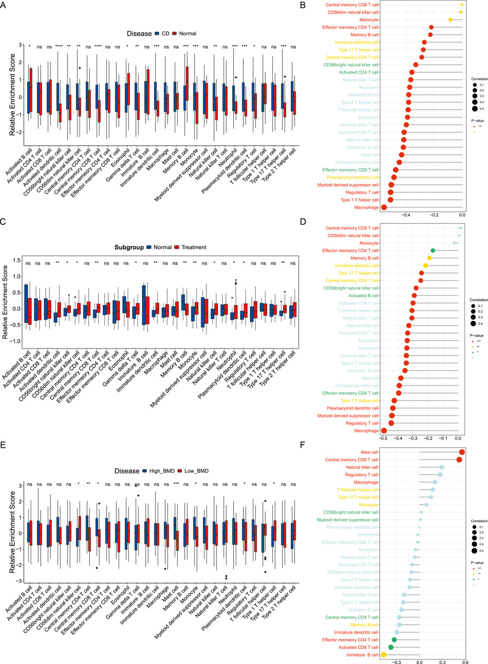 Six panels depict data on immune cell types using box plots and dot plots. Panels A, C, E show box plots comparing relative enrichment scores across various immune cells in different conditions (CD versus Normal, Treatment versus Normal, High BMD versus Low BMD). Panels B, D, F present dot plots indicating correlations of immune cell types, with significance and magnitude highlighted by dot size and color, across similar comparisons. Each panel has specific labels for cell types and significance indicators.