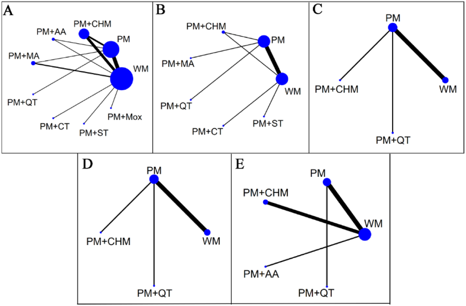 Five interconnected network diagrams (A-E) illustrate relationships between nodes labeled PM, WM, and various PM combinations (PM+AA, PM+MA, etc.). Nodes are connected by lines of varying thickness, indicating relationship strength. Panel A has the most connections; panels C and D focus on connections between PM, WM, and PM+CHM.