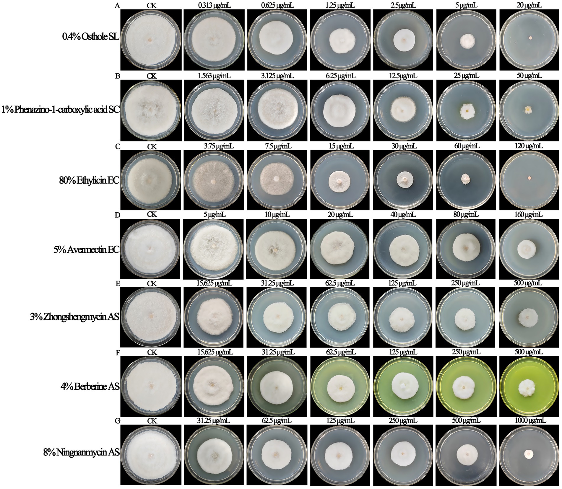 Petri dish images display the effects of various concentrations of seven different substances on fungal growth. Each row represents one substance with increasing concentrations marked above each dish, showing varying levels of fungal inhibition across CK (control) and tested concentrations, such as 0.313 to 1000 micrograms per milliliter.