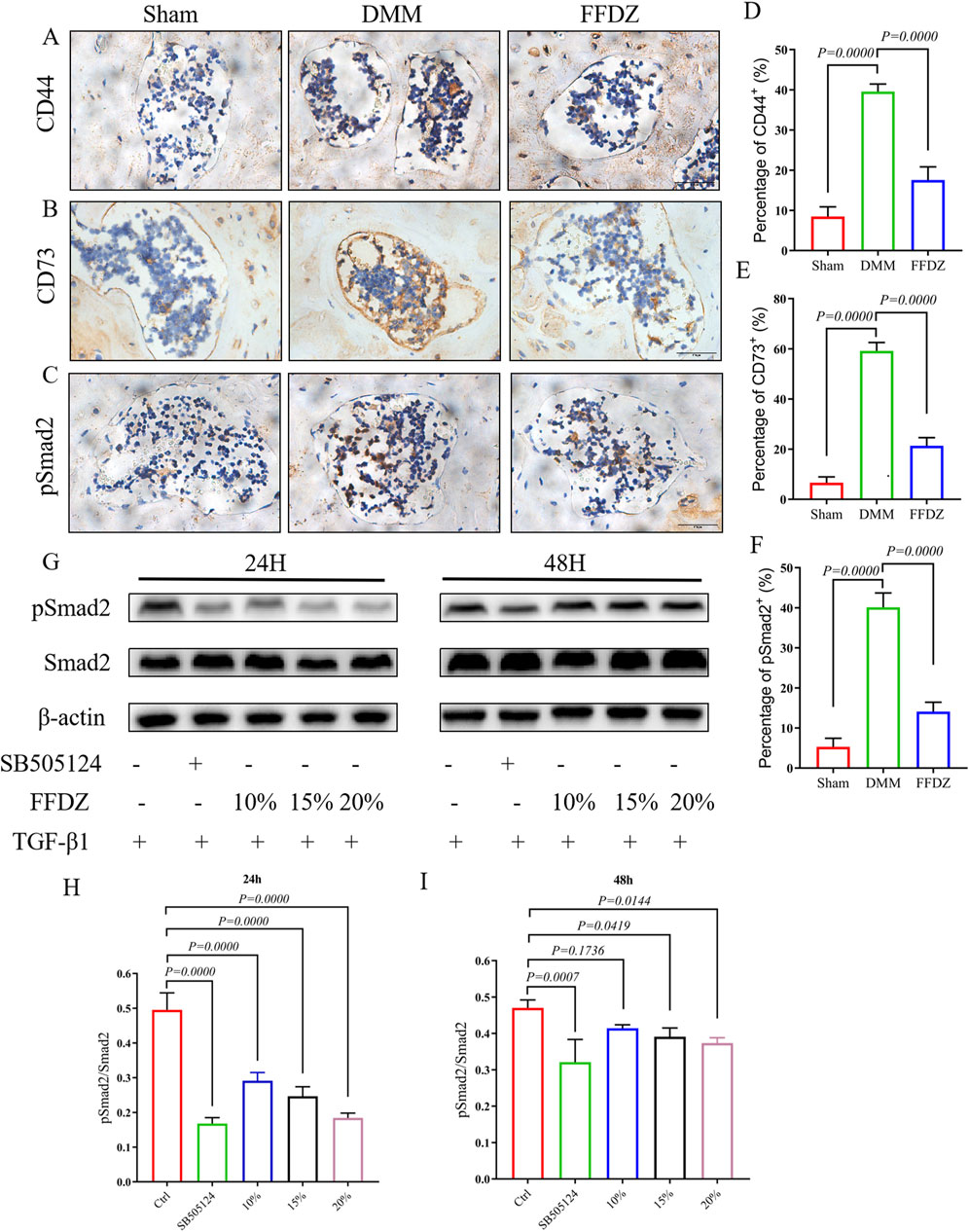 Immunohistochemical and Western blot analysis comparing Sham, DMM, and FFDZ treatments across several panels. Panels A-C display staining for CD44, CD73, and pSmad2, respectively. Bar graphs D-F quantify the percentage expression of these markers, with statistical significance indicated. Panel G shows Western blot bands for pSmad2, Smad2, and β-actin after 24 and 48 hours with various treatments: SB505124, FFDZ concentrations, and TGF-β1. Graphs H and I depict the ratios of pSmad2 to Smad2 at 24 and 48 hours, respectively, with p-values indicating significant differences among treatments.