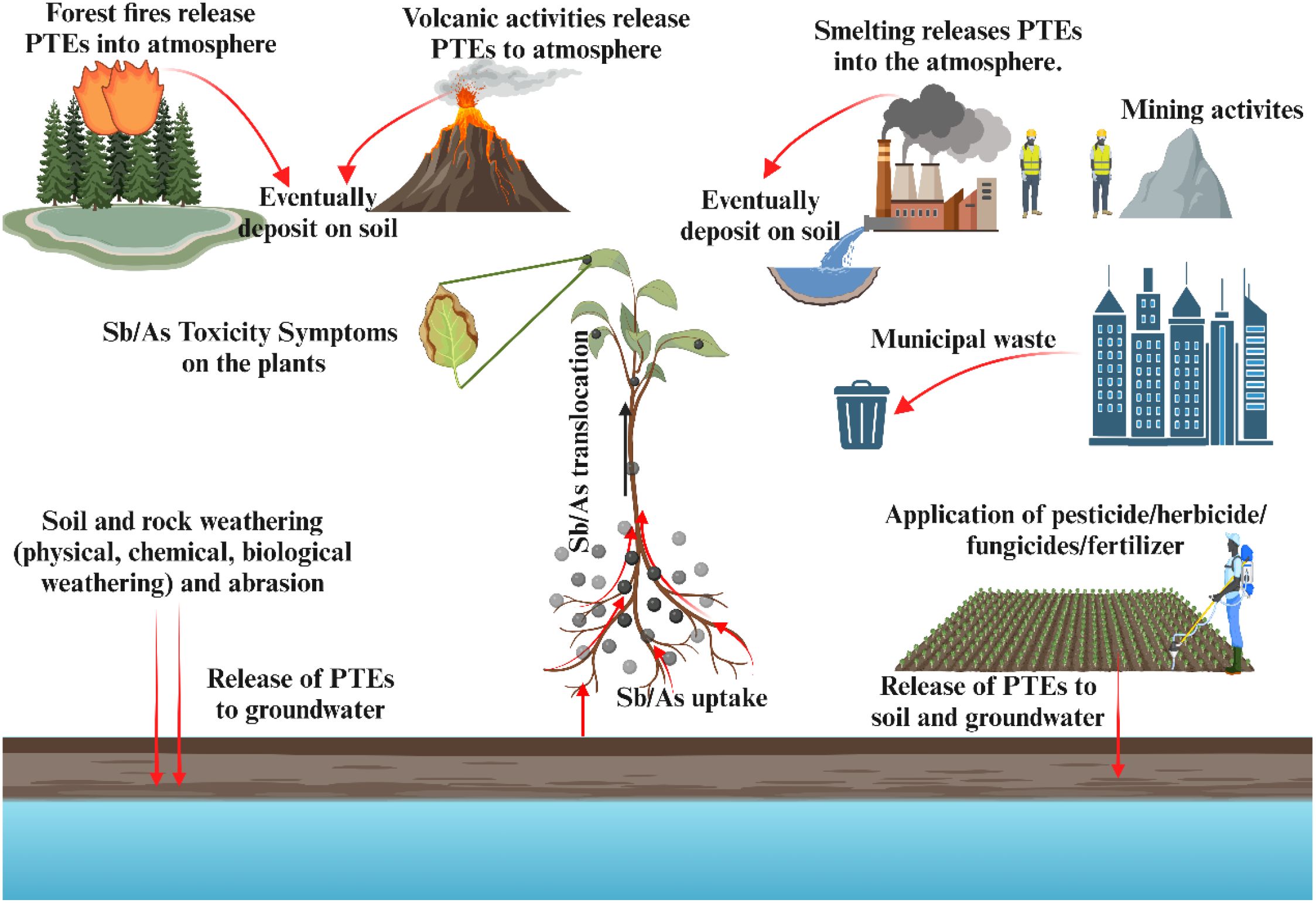 Diagram illustrating pathways of potentially toxic elements (PTEs) from forest fires, volcanic activities, smelting, mining, and municipal waste into the atmosphere, soil, and groundwater. PTEs affect plants through soil uptake and cause toxic symptoms. Pesticides and fertilizers release PTEs into the environment, with soil weathering contributing to groundwater contamination.