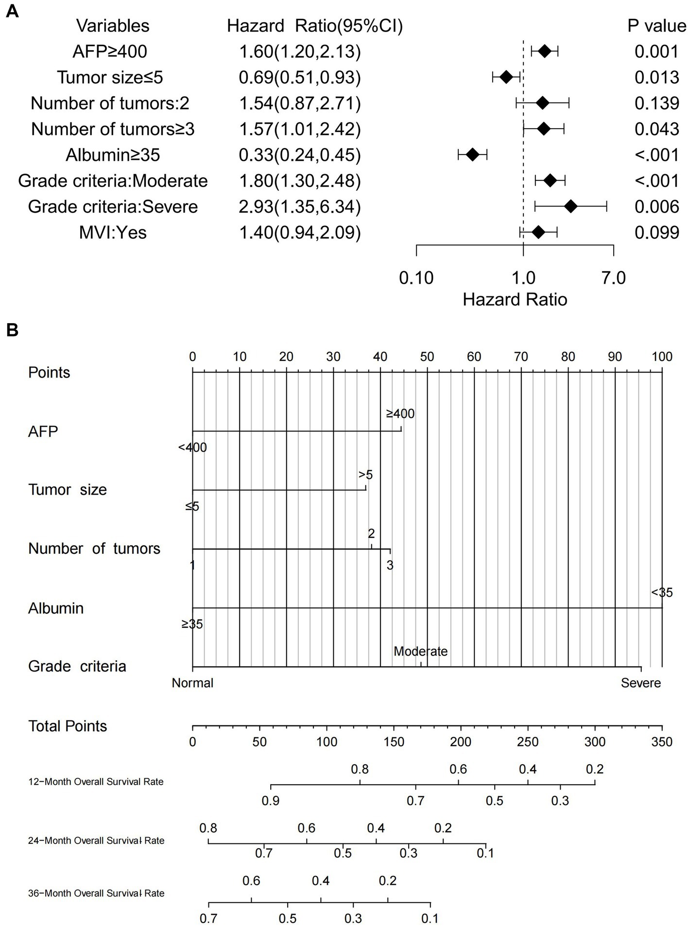 Figure A displays a forest plot showing hazard ratios for various clinical variables related to tumor and albumin levels, with 95% confidence intervals and p-values. Figure B presents a nomogram for predicting overall survival rates at 12, 24, and 36 months based on points for AFP levels, tumor size, number of tumors, albumin levels, and grade criteria.