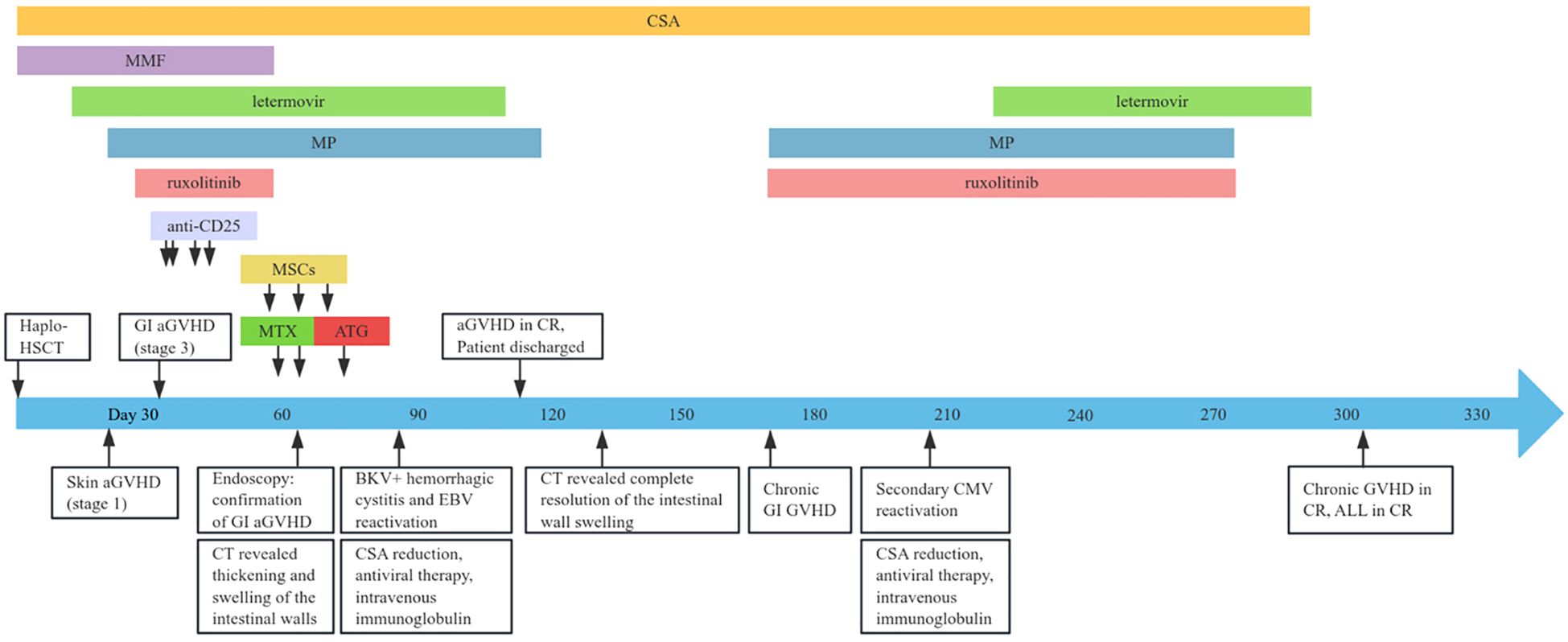 Timeline of treatments and events following haplo-HSCT (haploidentical hematopoietic stem cell transplantation). Various treatments like MMF, letermovir, and ruxolitinib are shown with their duration. Significant clinical events include GI aGVHD, CT findings, patient discharge, secondary CMV reactivation, and chronic GVHD. Each event is marked on a day scale ranging from day 0 to day 330, highlighting progress and response to treatments.