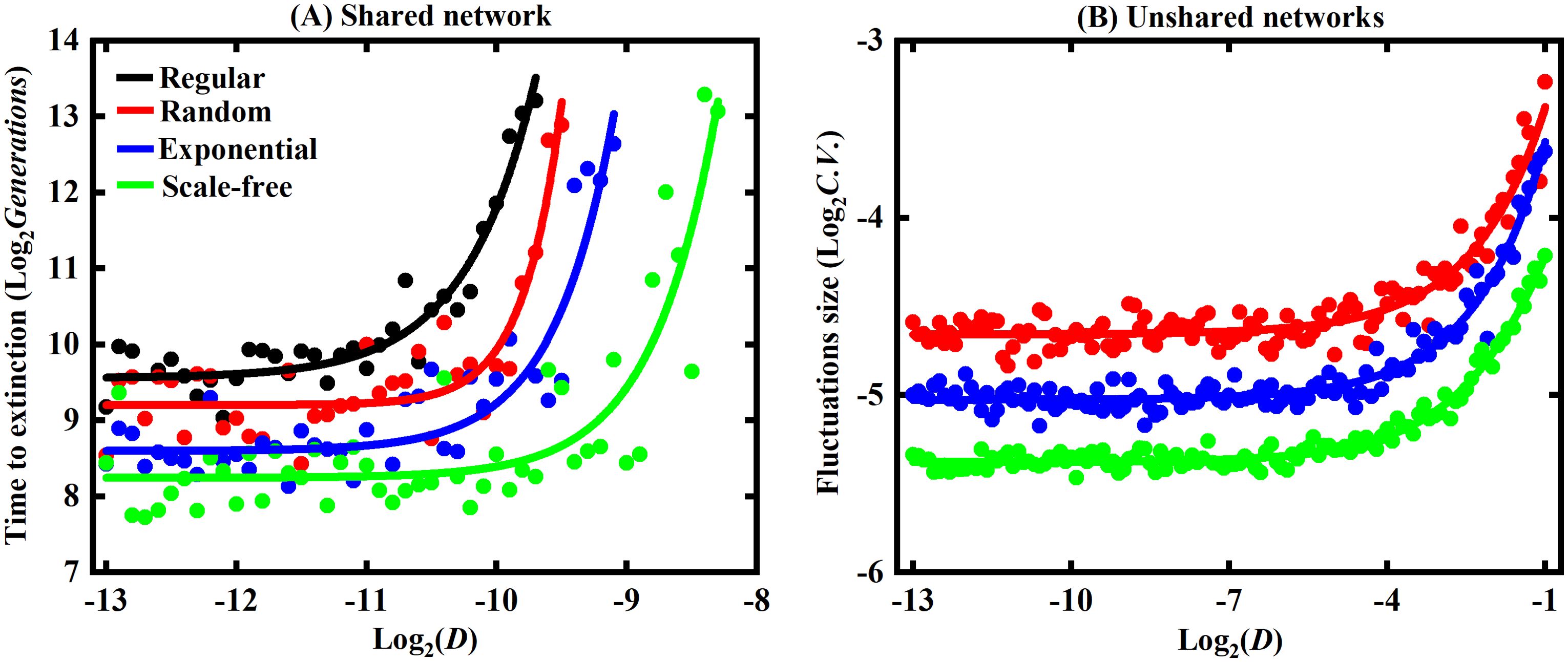 Two graphs are shown. Graph (A) titled “Shared network” compares network structures: Regular (black), Random (red), Exponential (blue), and Scale-free (green). It plots time to extinction (Log base 2 of generations) against Log base 2 of D. Graph (B) titled “Unshared networks” represents Fluctuations size (Log base 2 C.V.) against Log base 2 of D, showcasing the same network structures. Data points and trend lines display in corresponding colors for each network type.